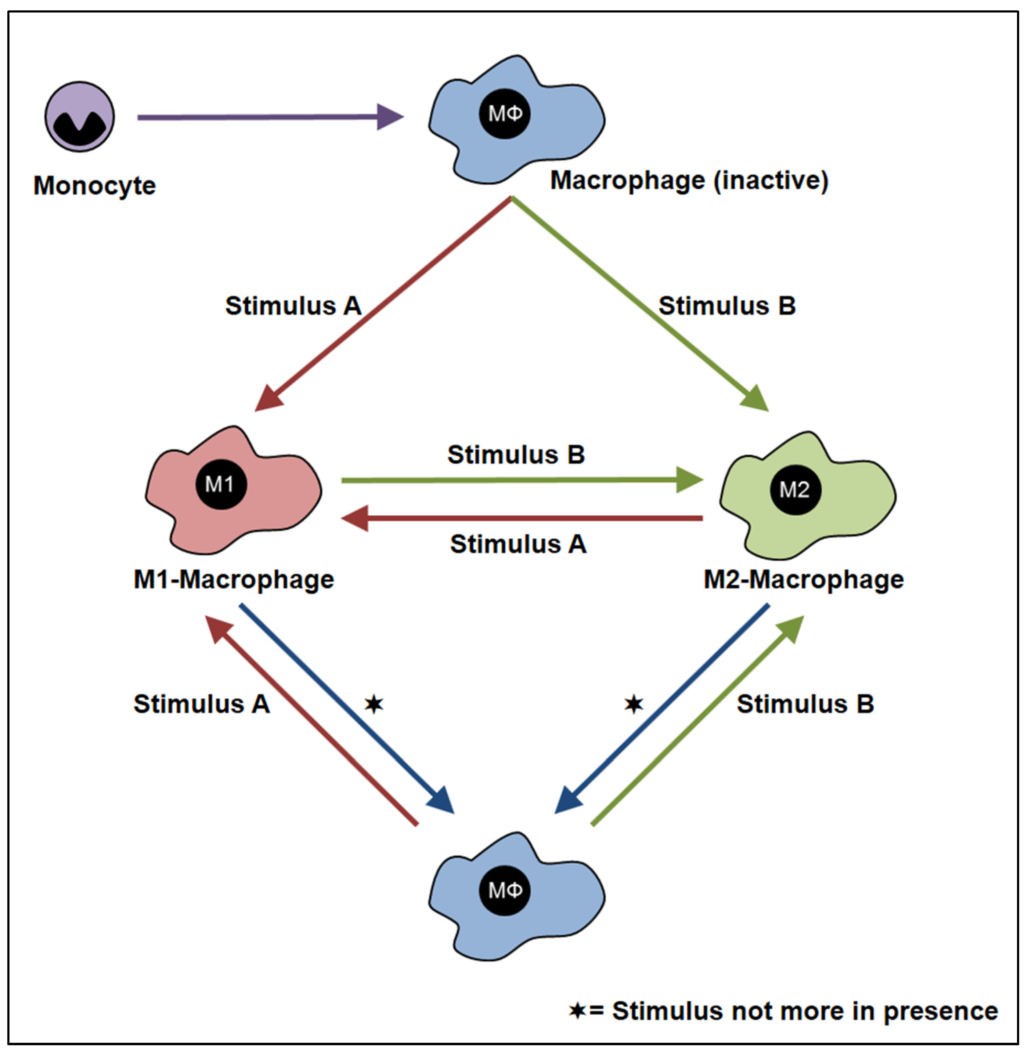 Cells 12 00276 g002 Cells 12 00276 g002