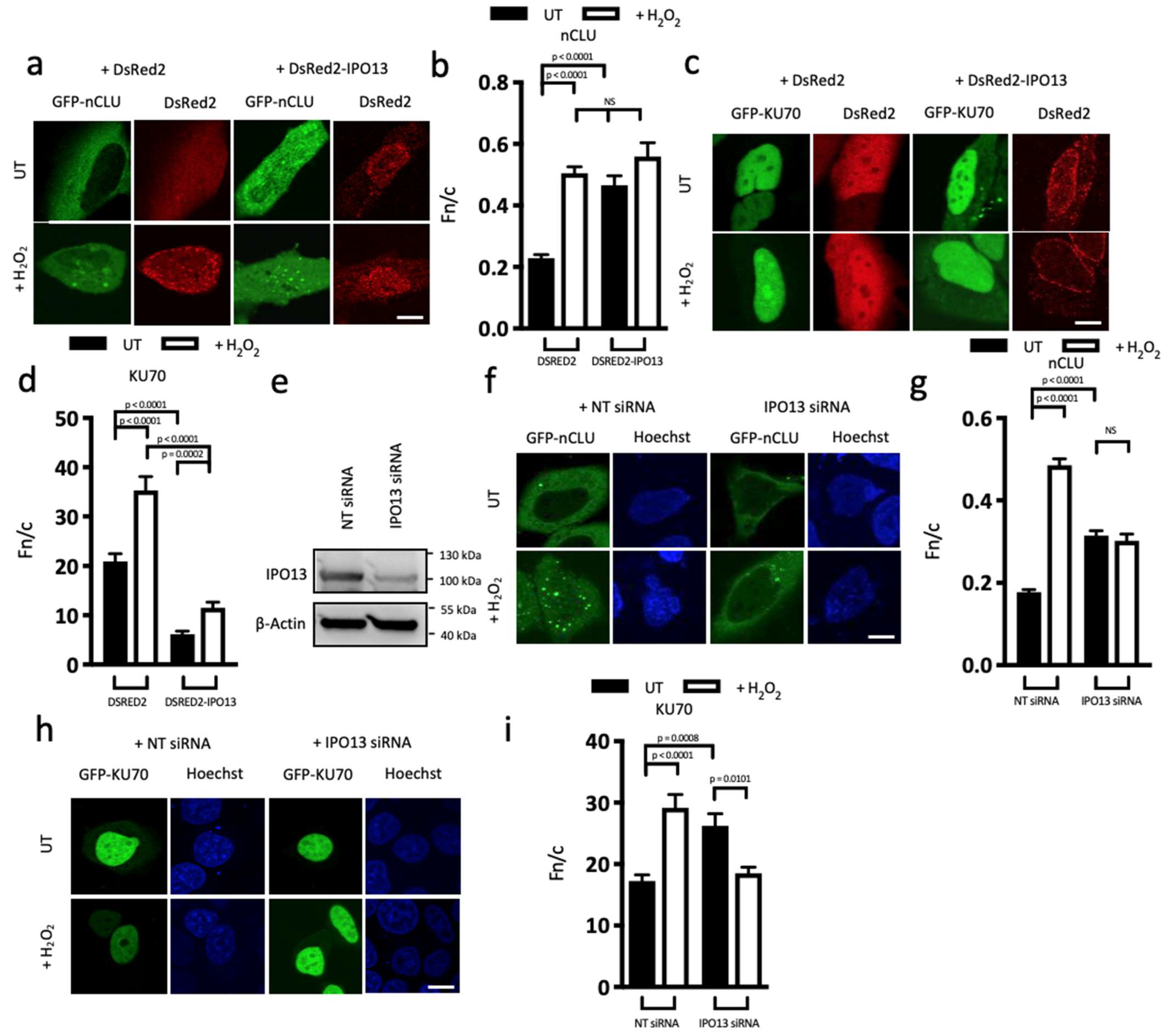 Cells 12 00279 g001a Cells 12 00279 g001a