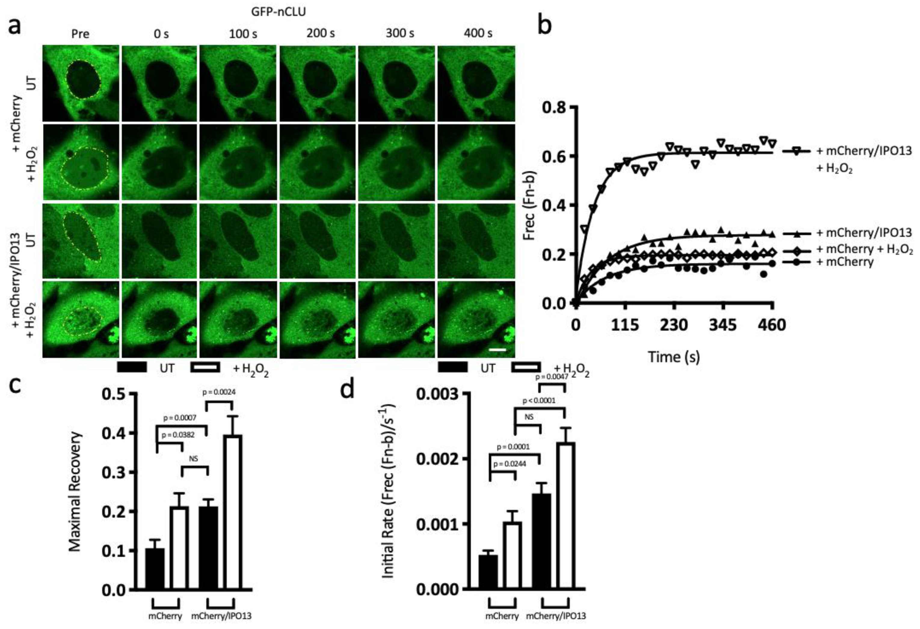 Cells 12 00279 g002a Cells 12 00279 g002a