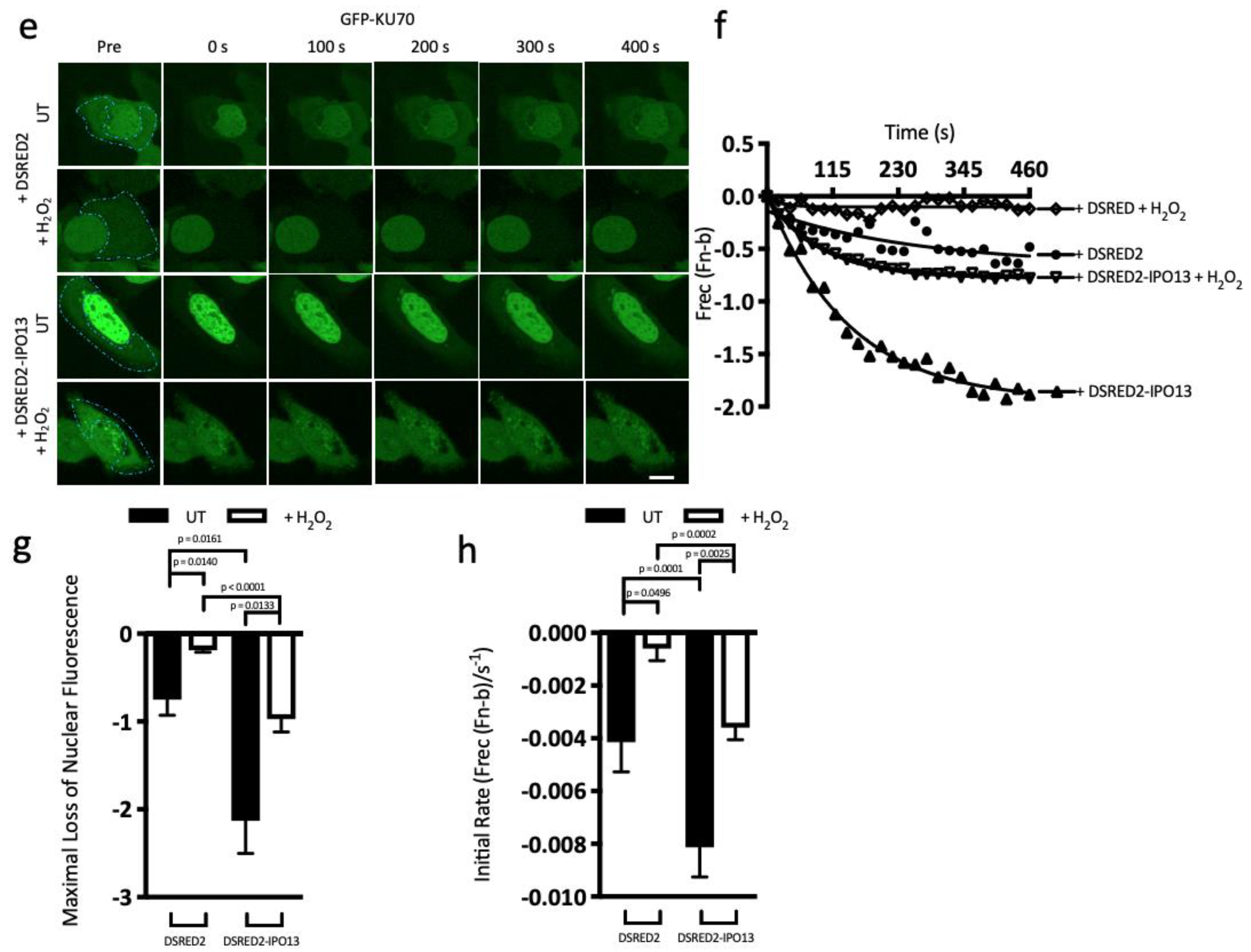 Cells 12 00279 g002b Cells 12 00279 g002b