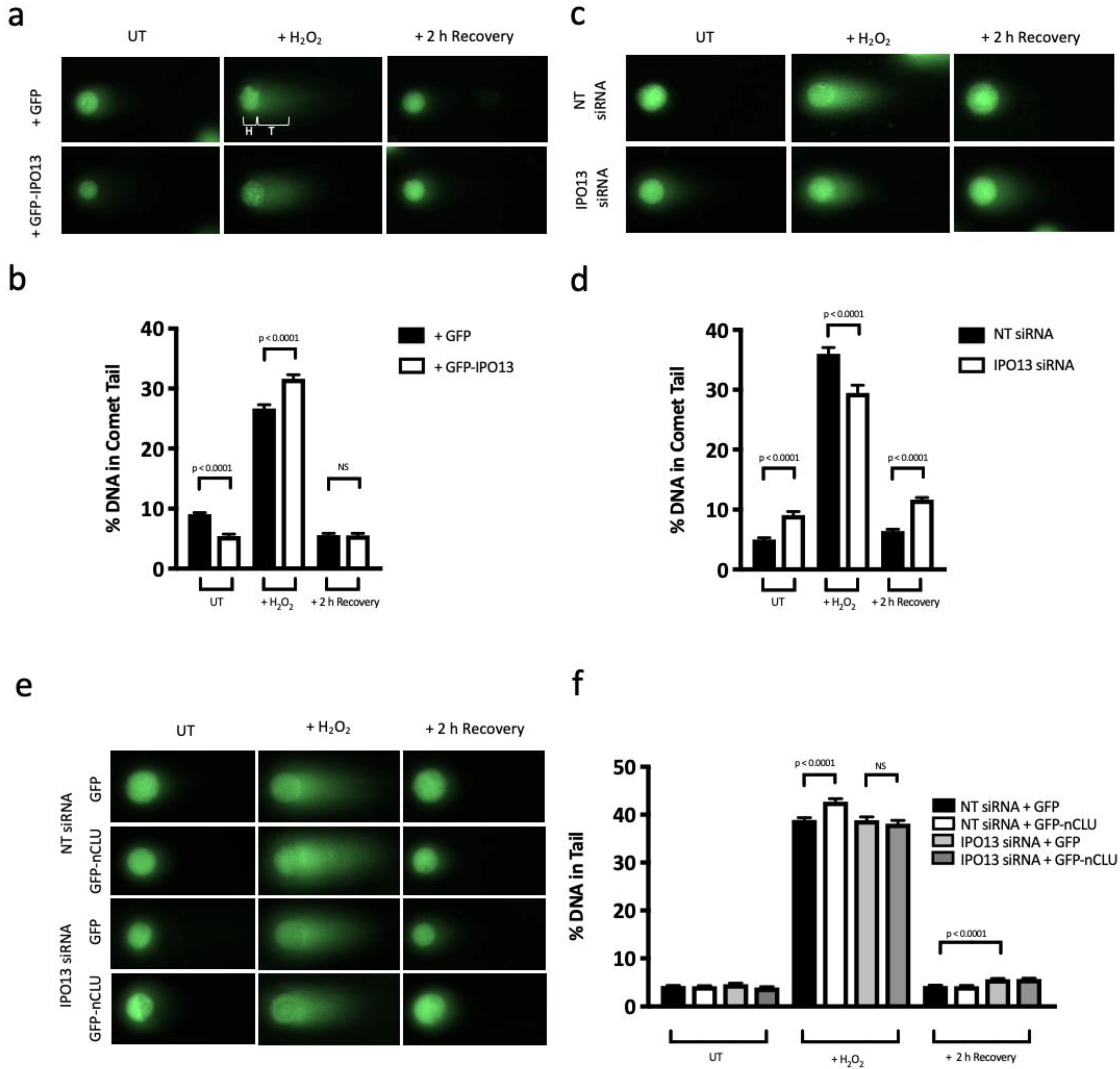 Cells 12 00279 g003 Cells 12 00279 g003