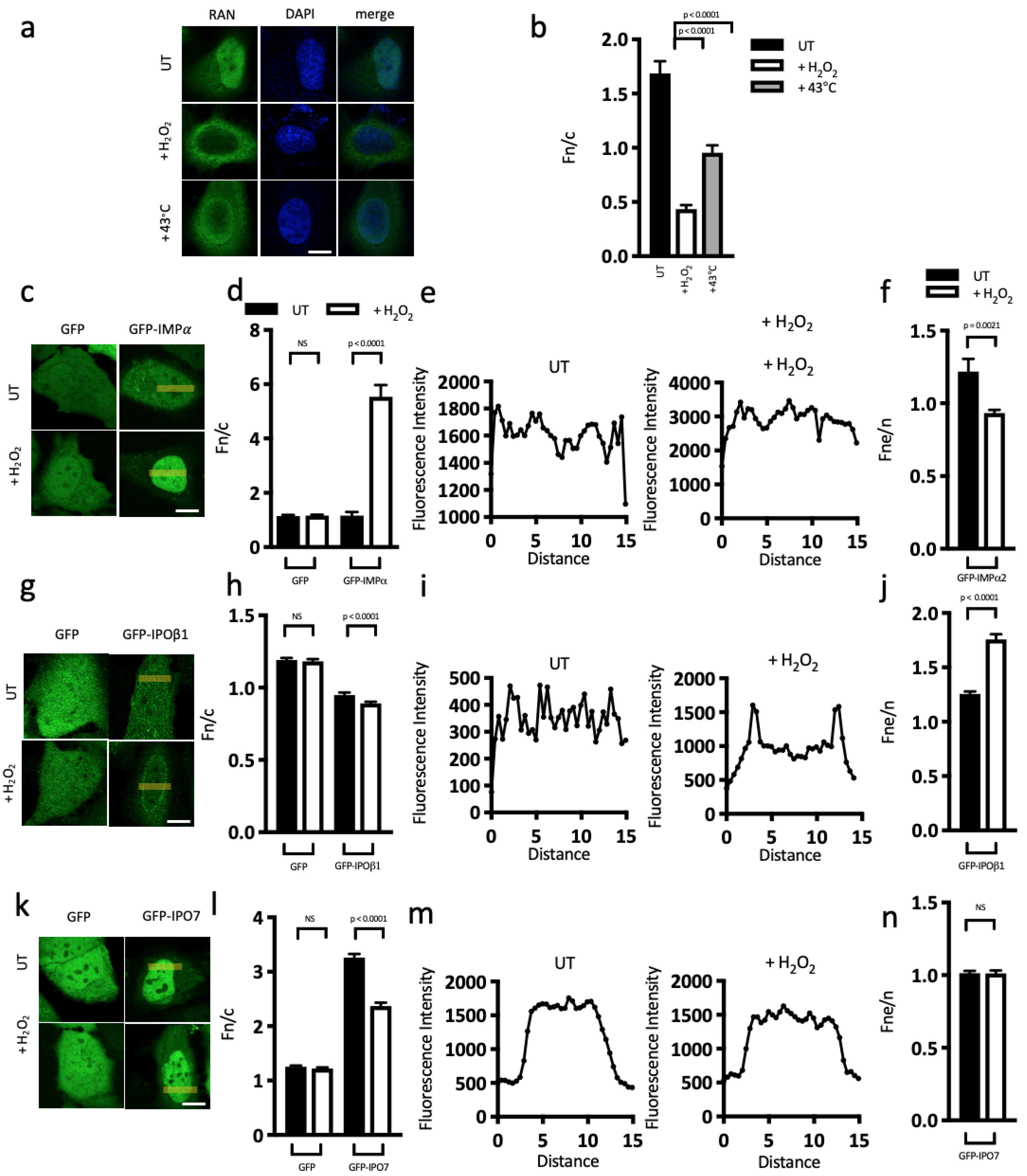 Cells 12 00279 g005a Cells 12 00279 g005a