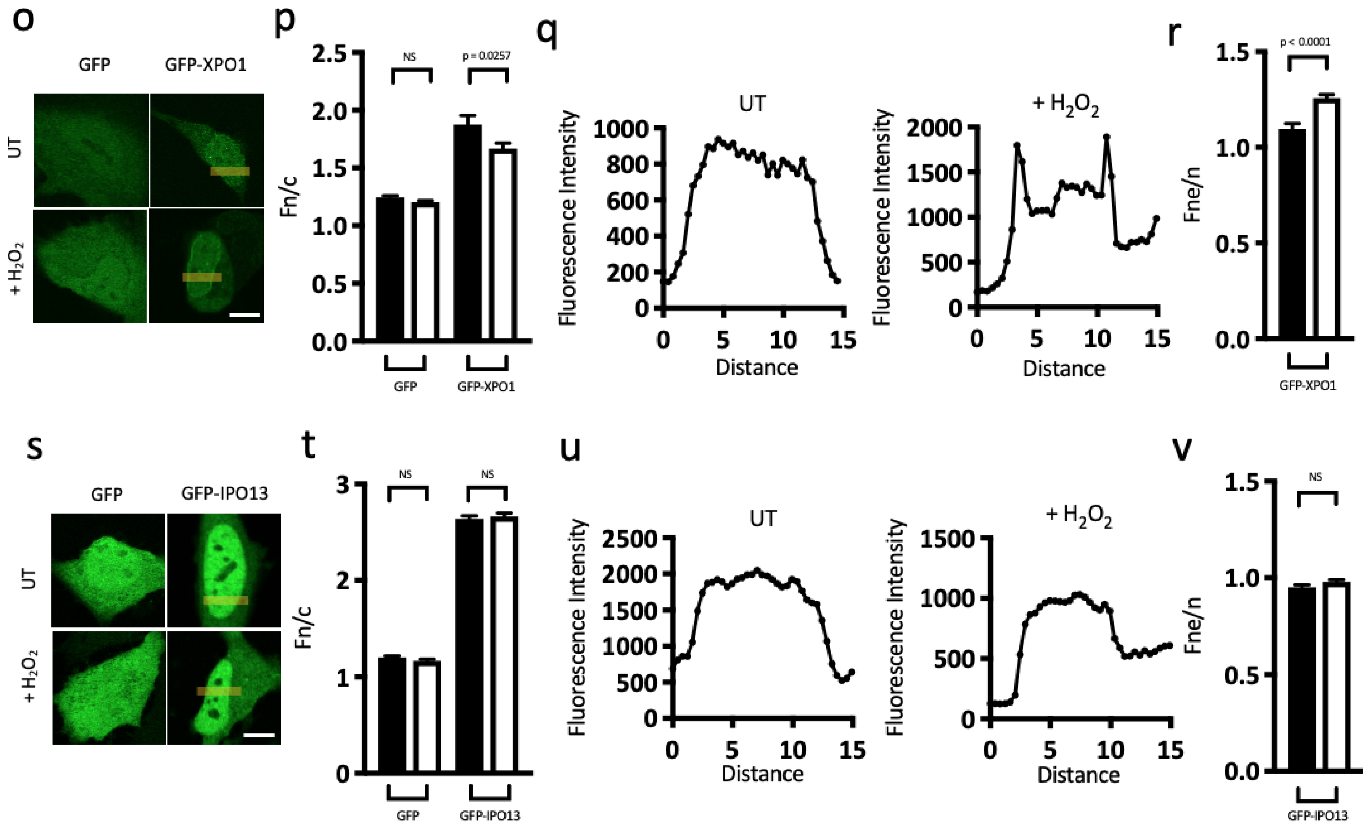 Cells 12 00279 g005b Cells 12 00279 g005b