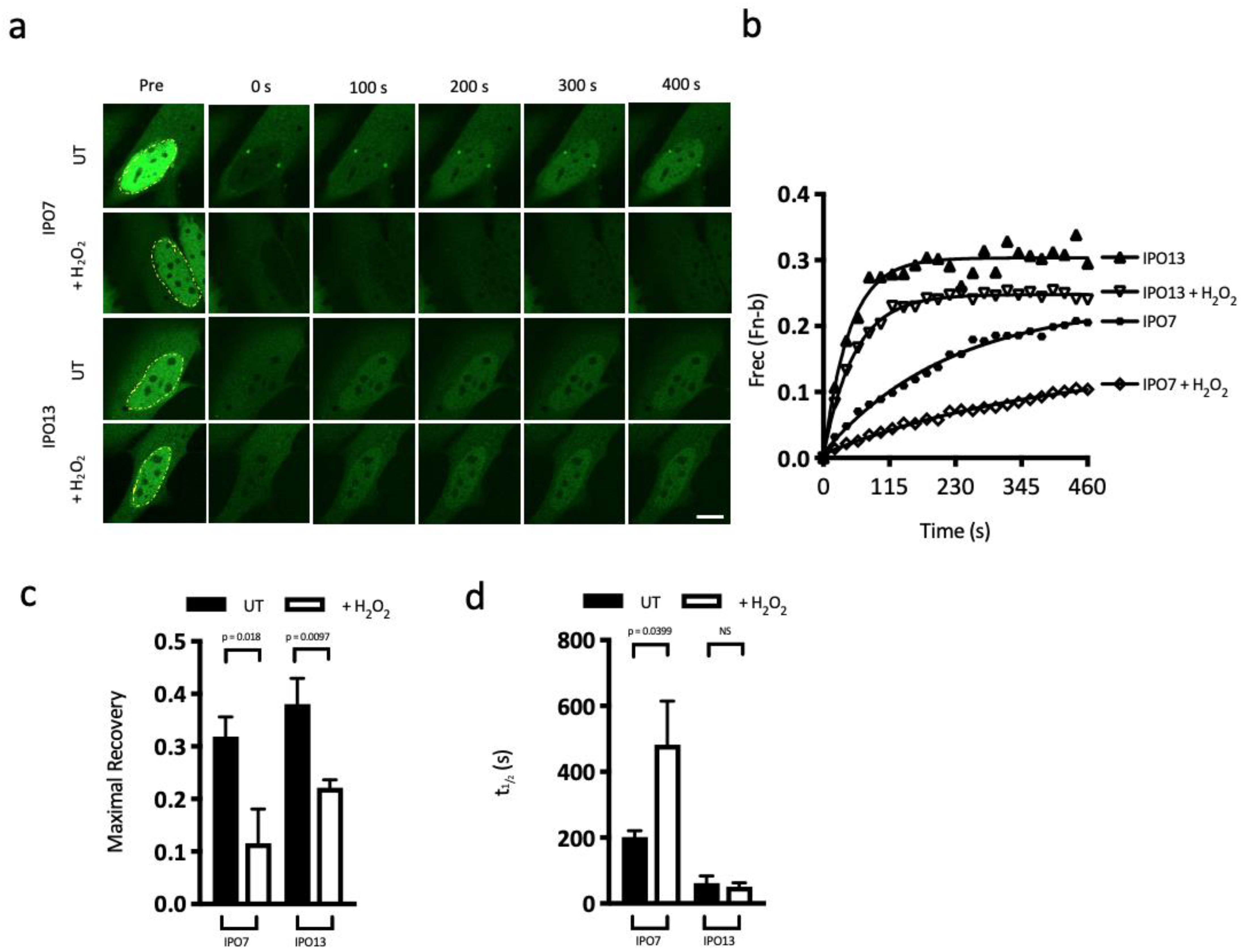Cells 12 00279 g006 Cells 12 00279 g006