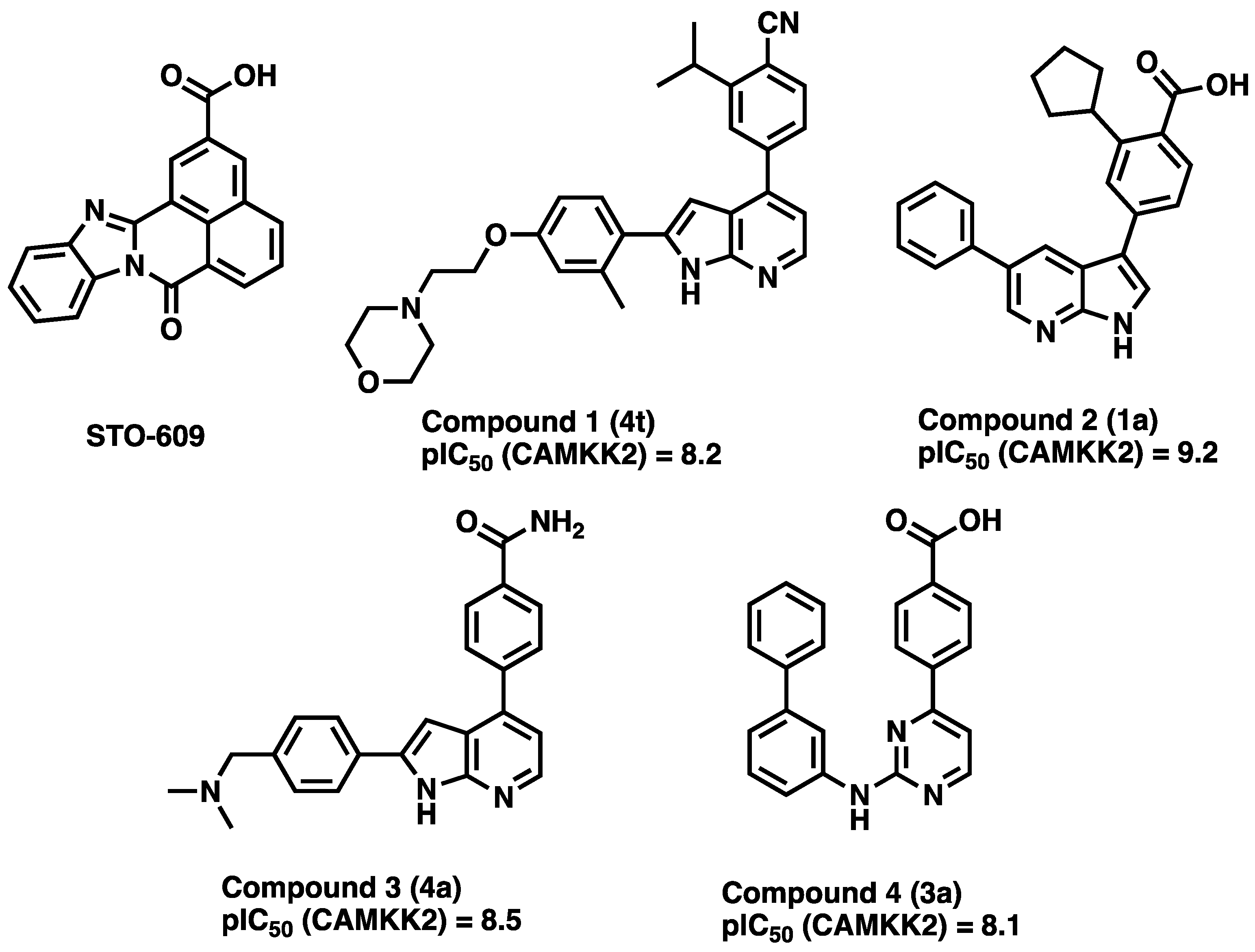 Cells 12 00287 g001 Cells 12 00287 g001