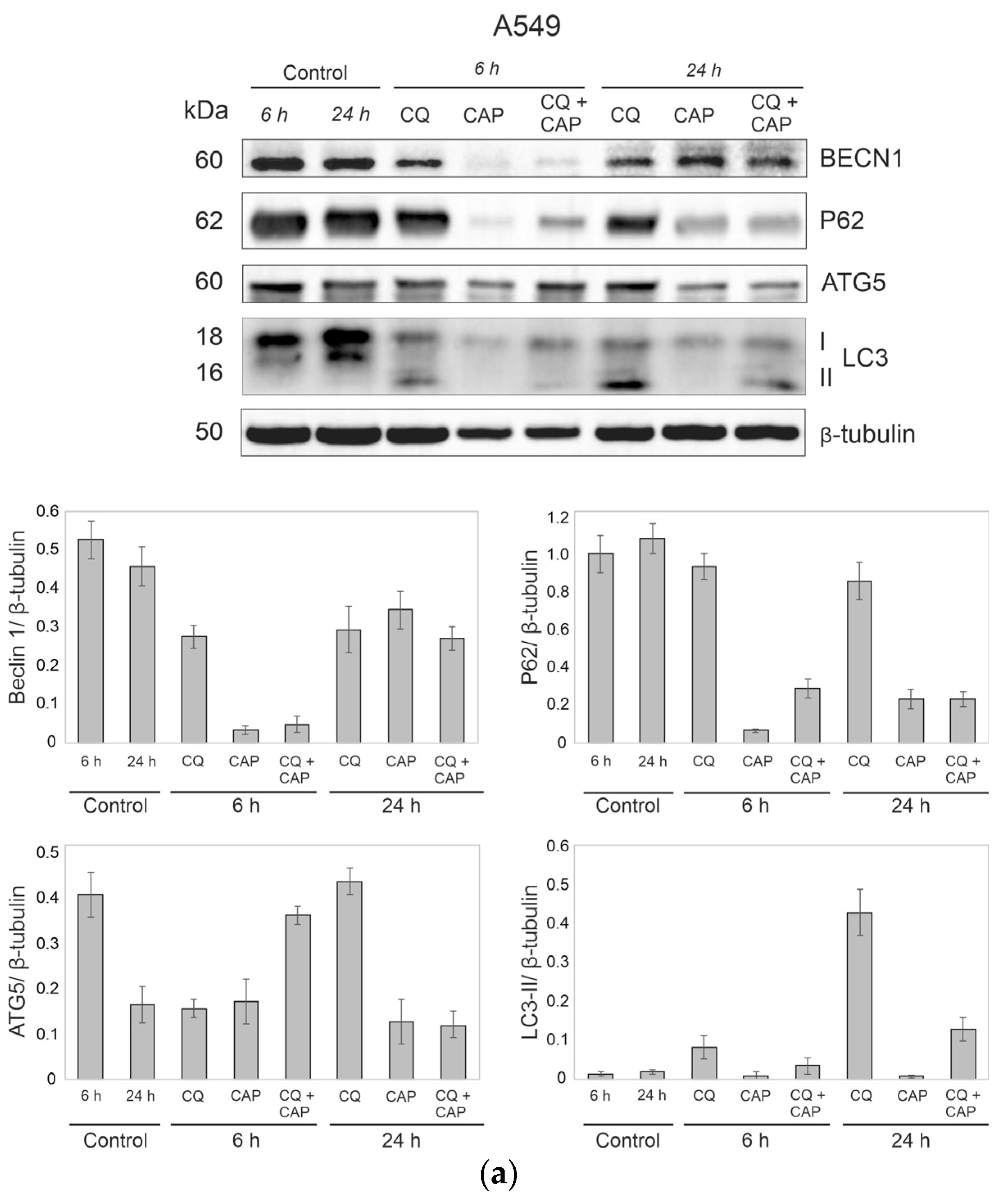 Cells 12 00290 g009a