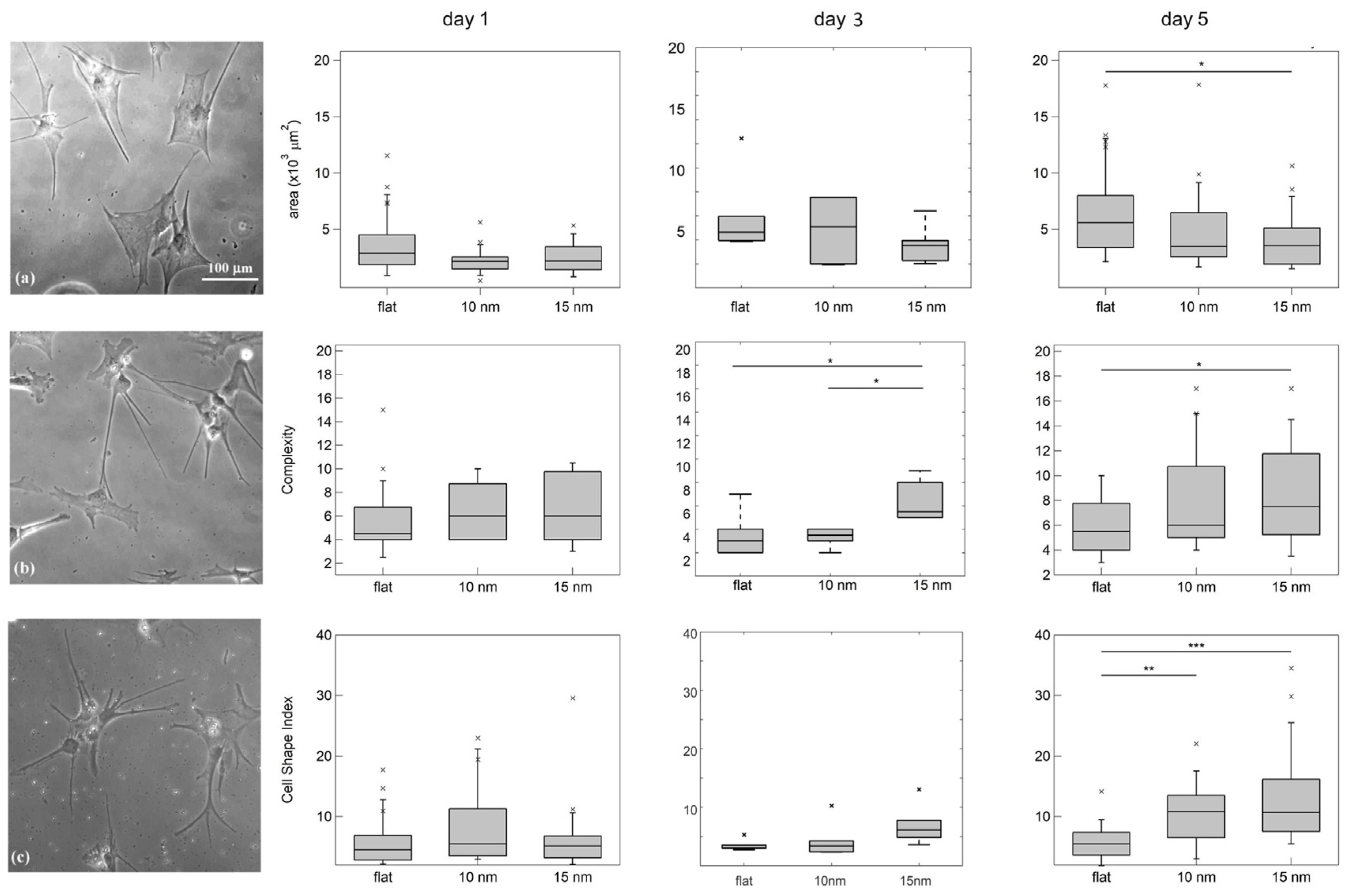Cells 12 00293 g002 Cells 12 00293 g002
