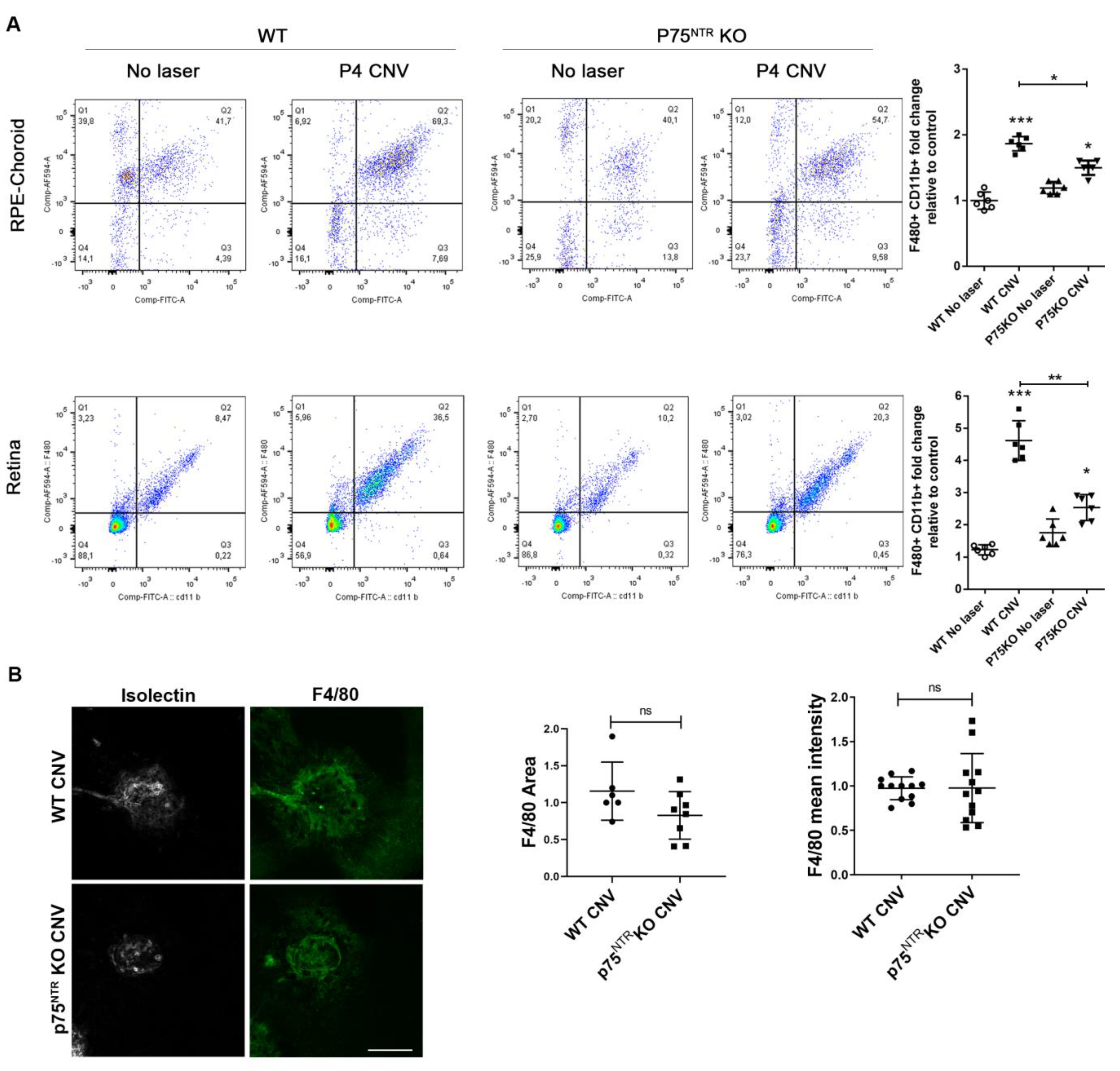 Cells 12 00297 g003 Cells 12 00297 g003