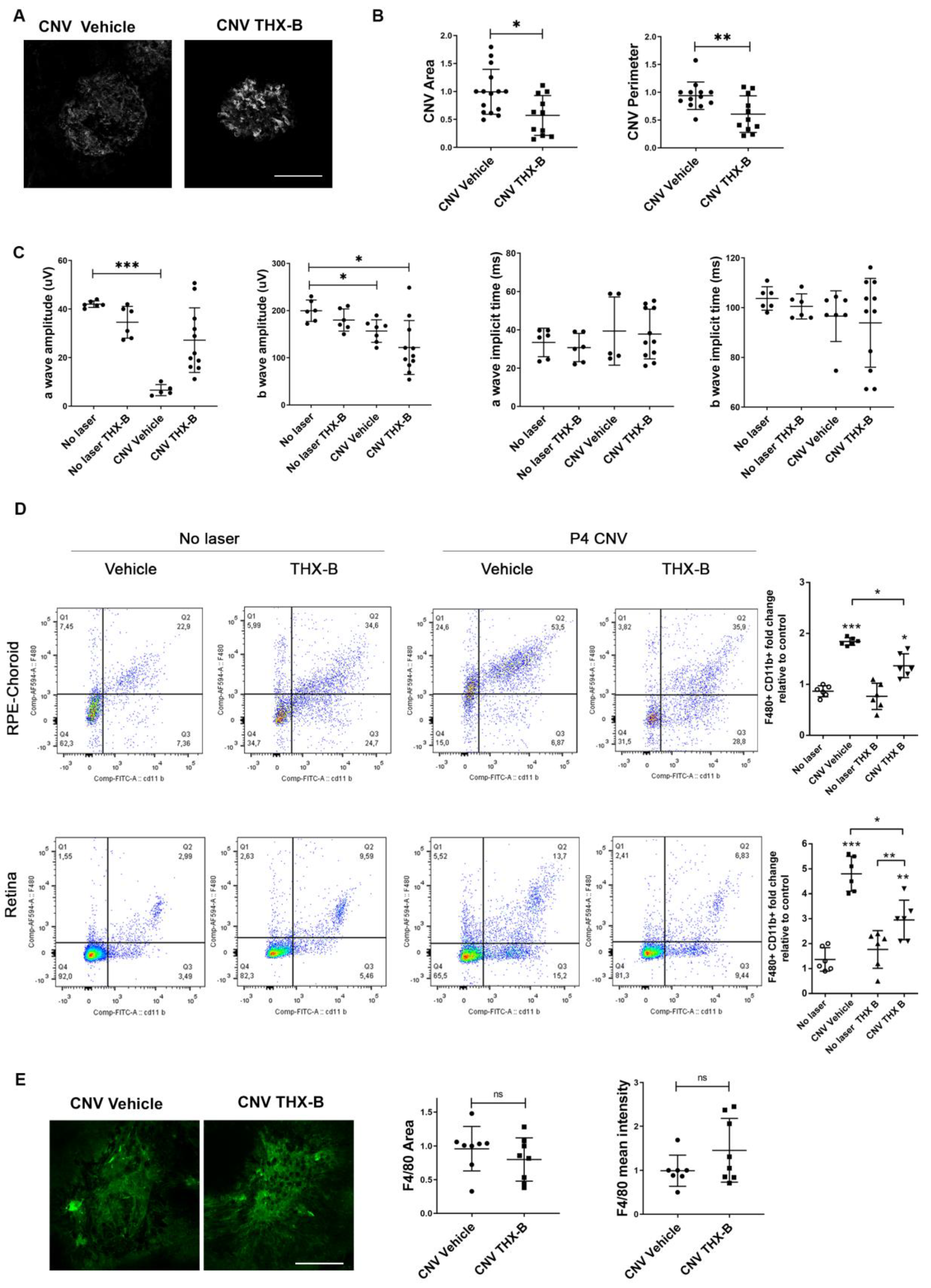 Cells 12 00297 g005 Cells 12 00297 g005