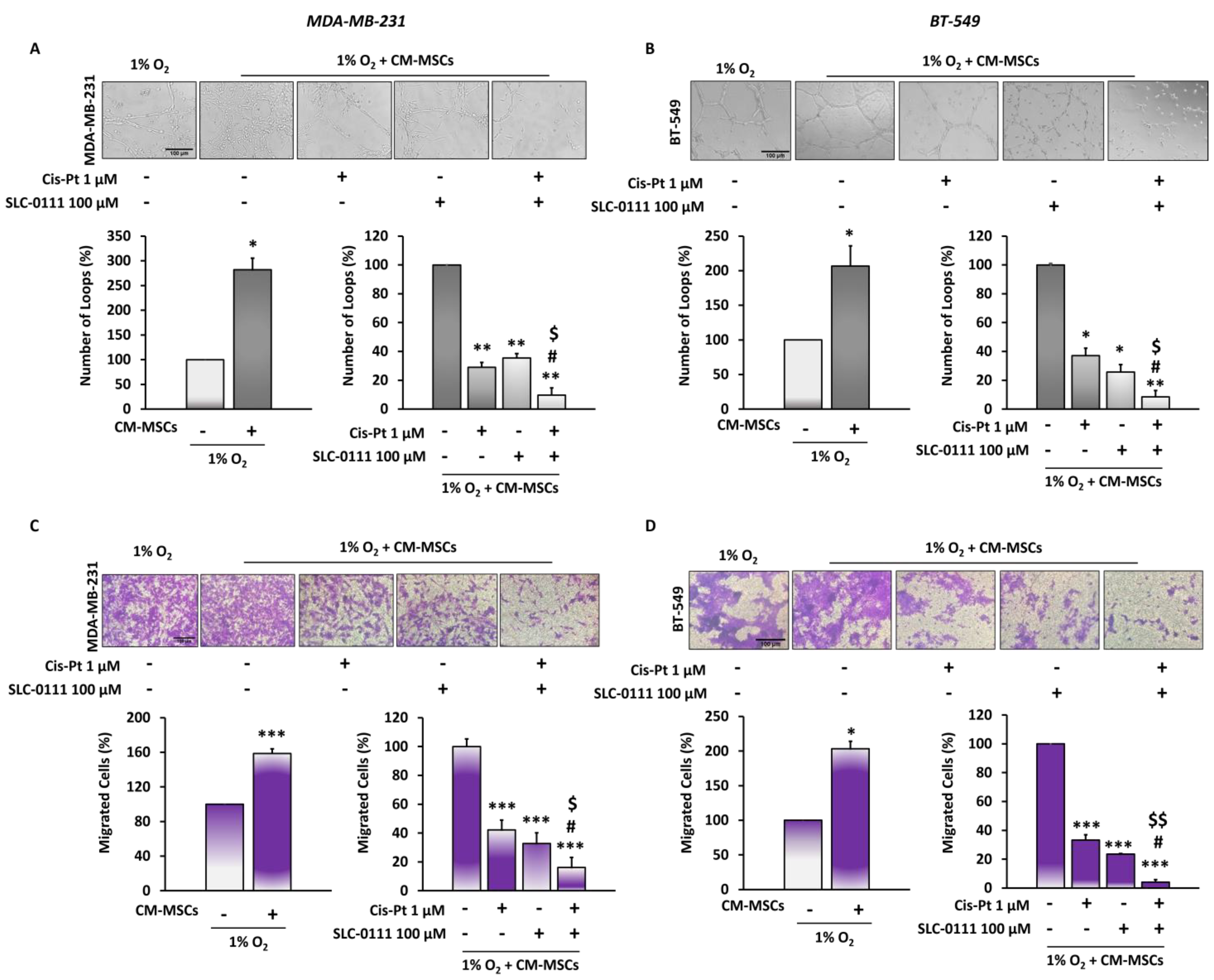 Cells 12 00298 g003 Cells 12 00298 g003