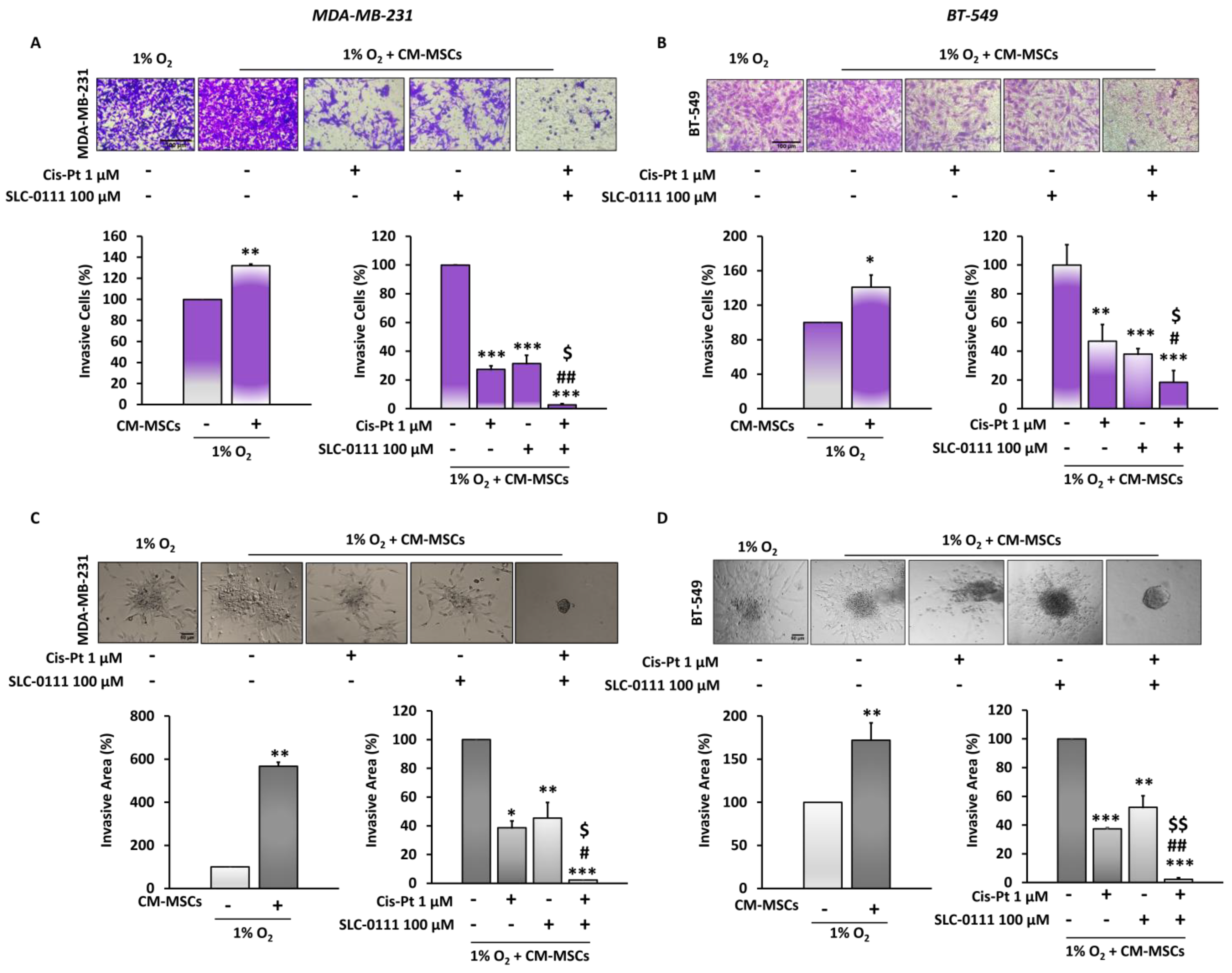 Cells 12 00298 g004 Cells 12 00298 g004