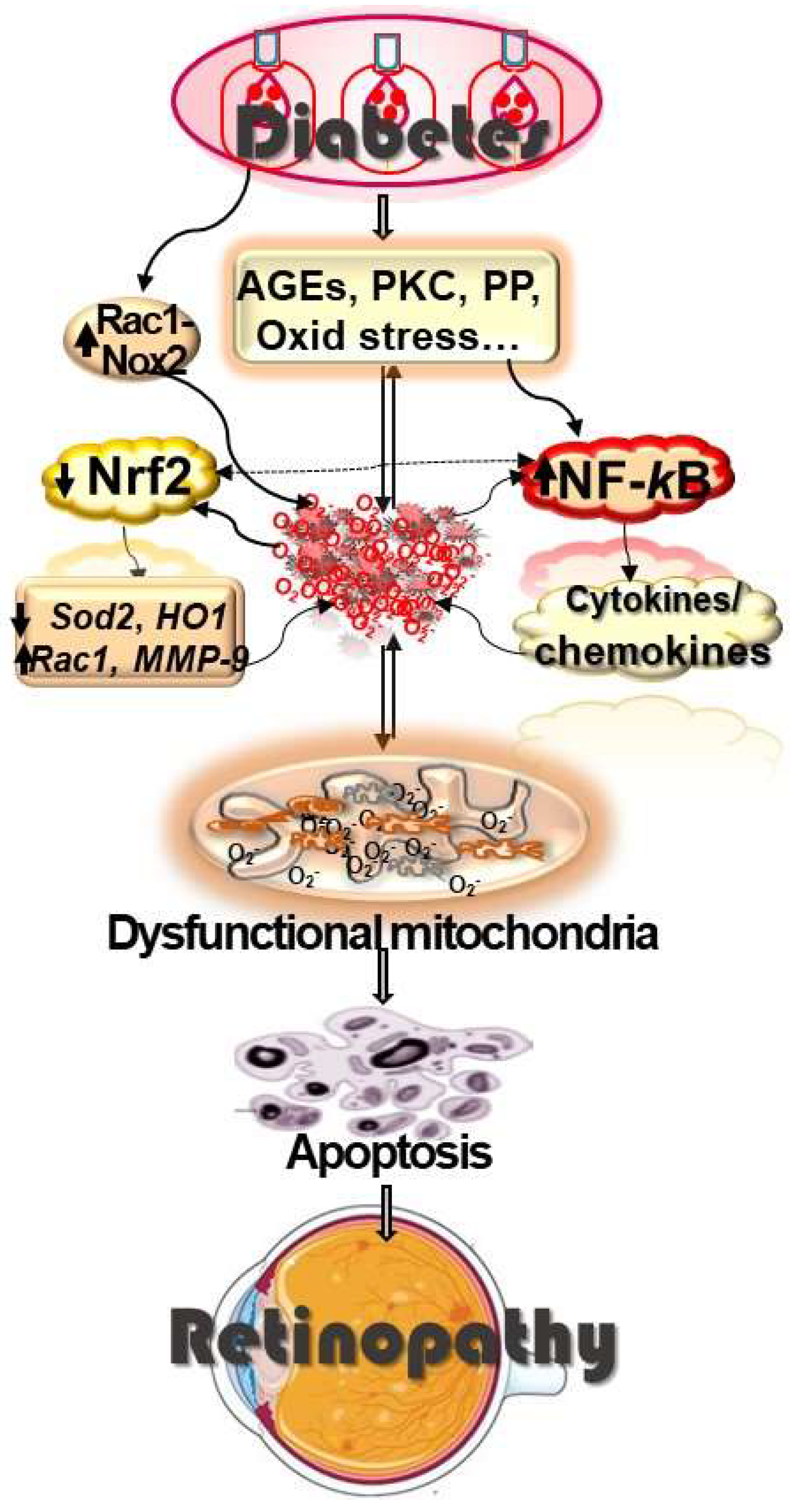 Cells 12 00300 g001 Cells 12 00300 g001