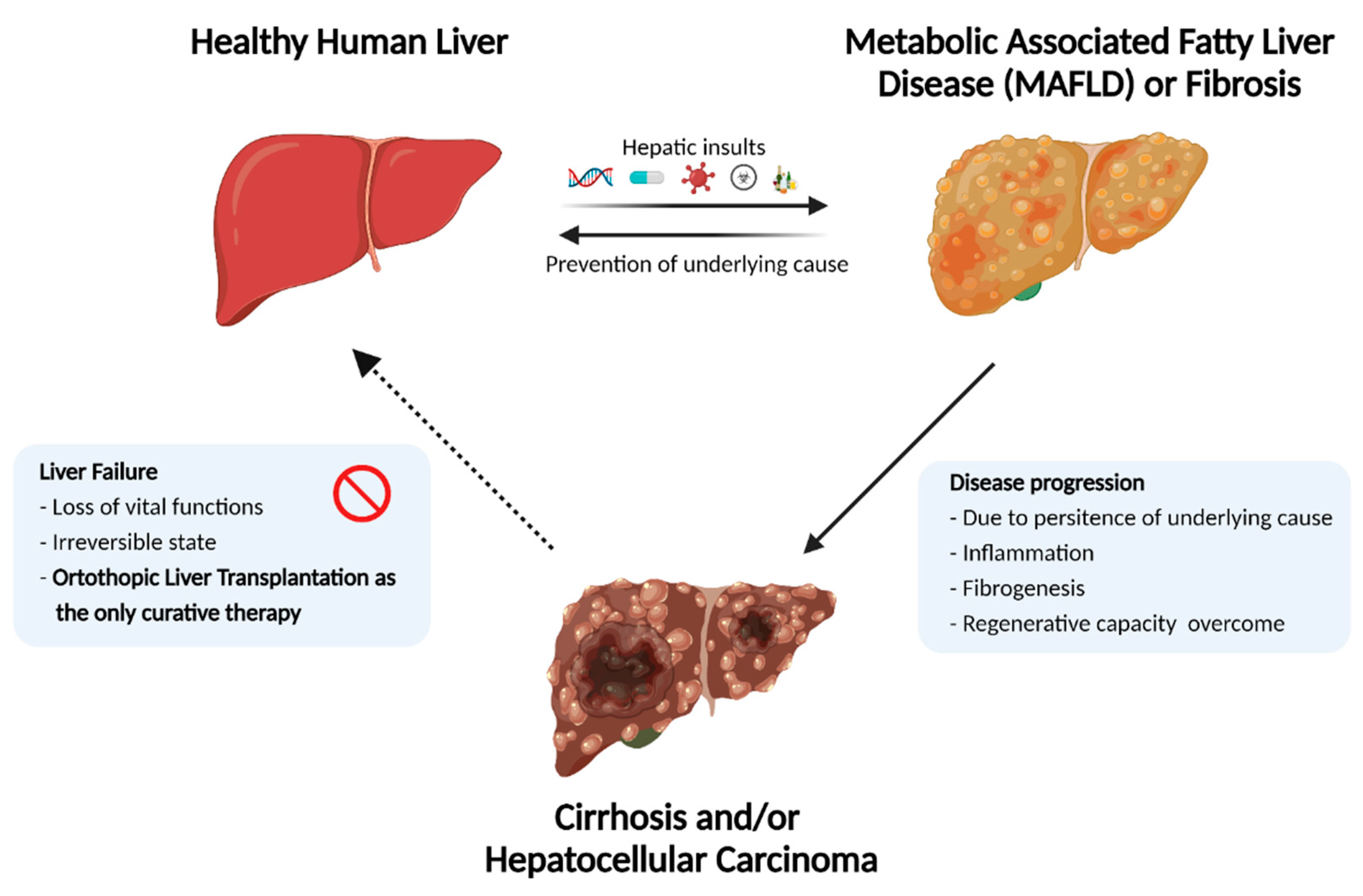 gabapentin liver damage