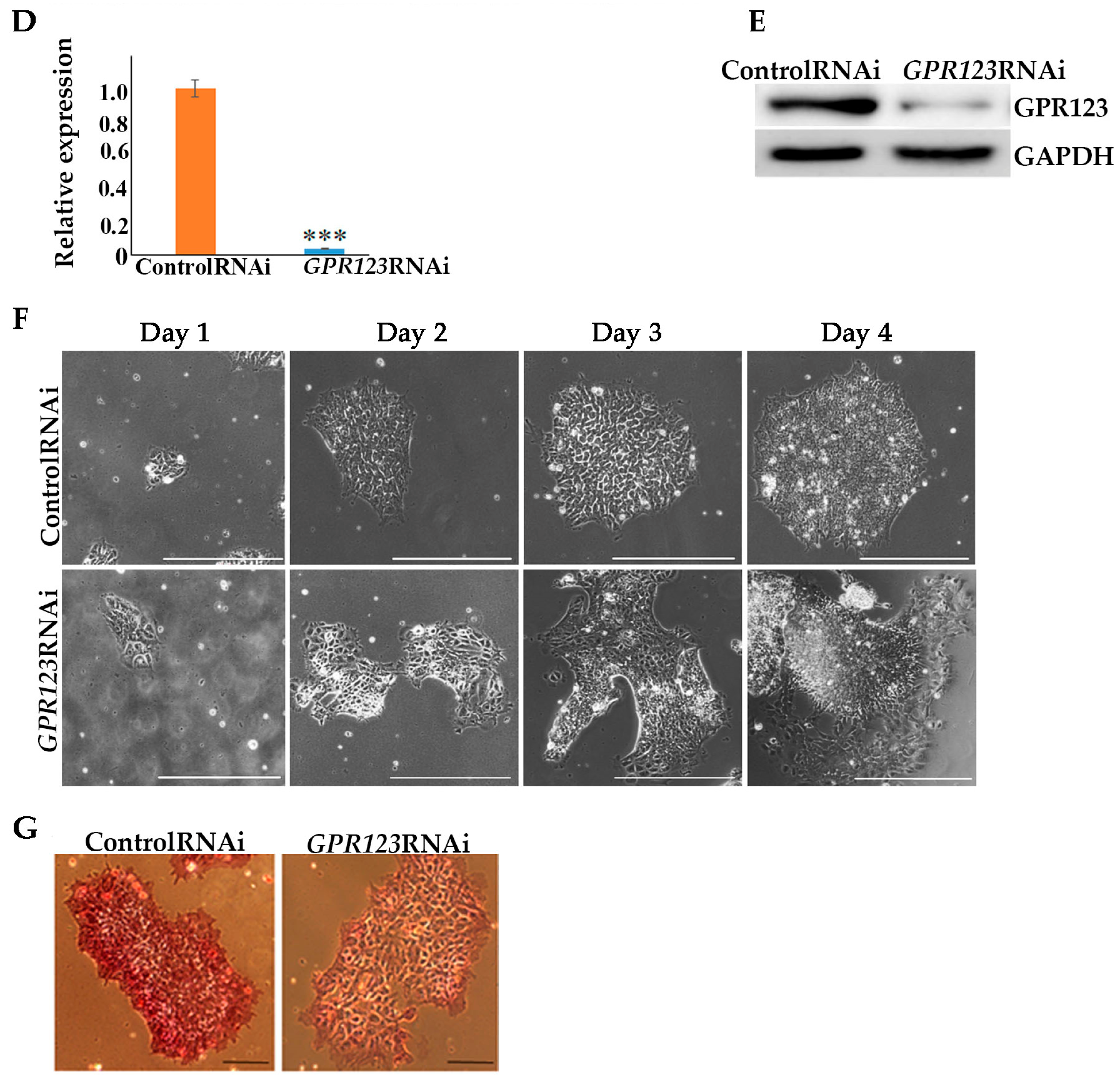 Cells 12 00304 g001b
