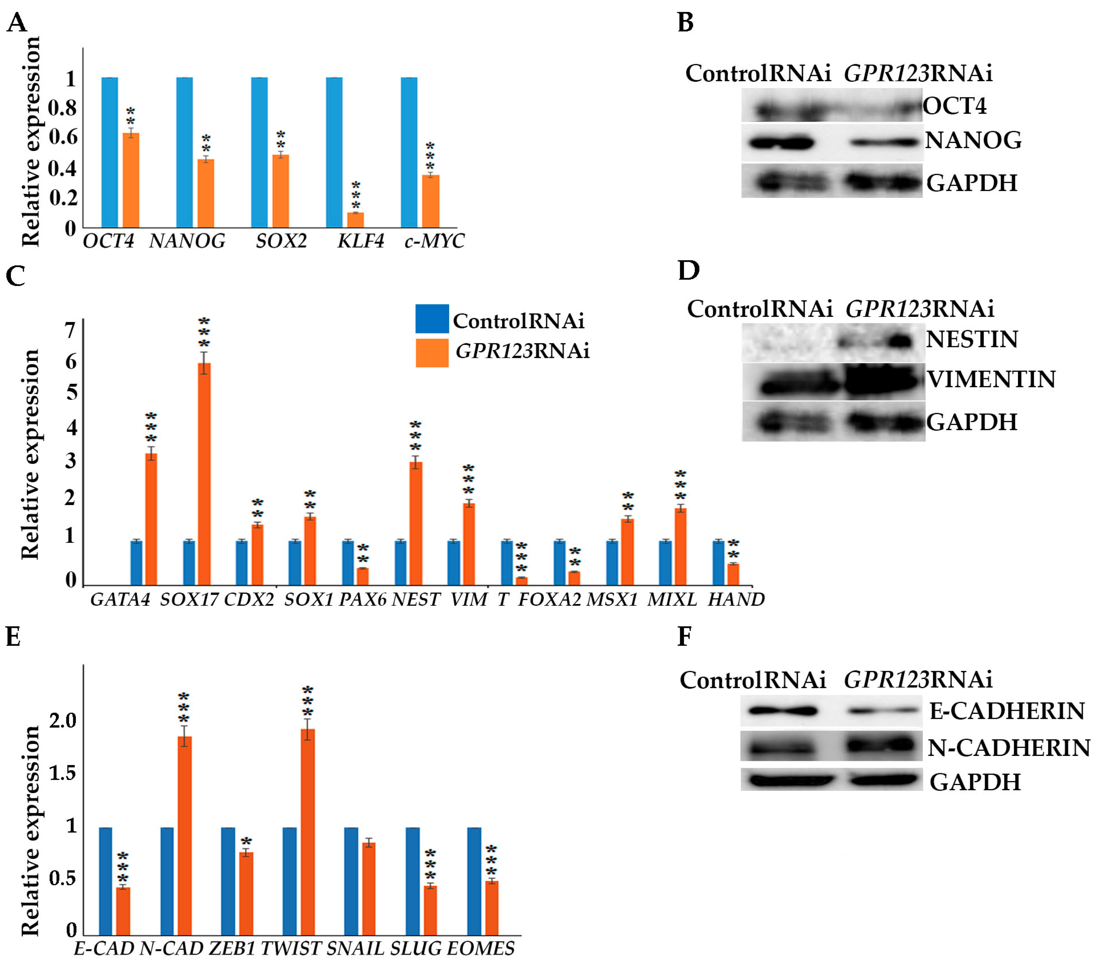 Cells 12 00304 g003a