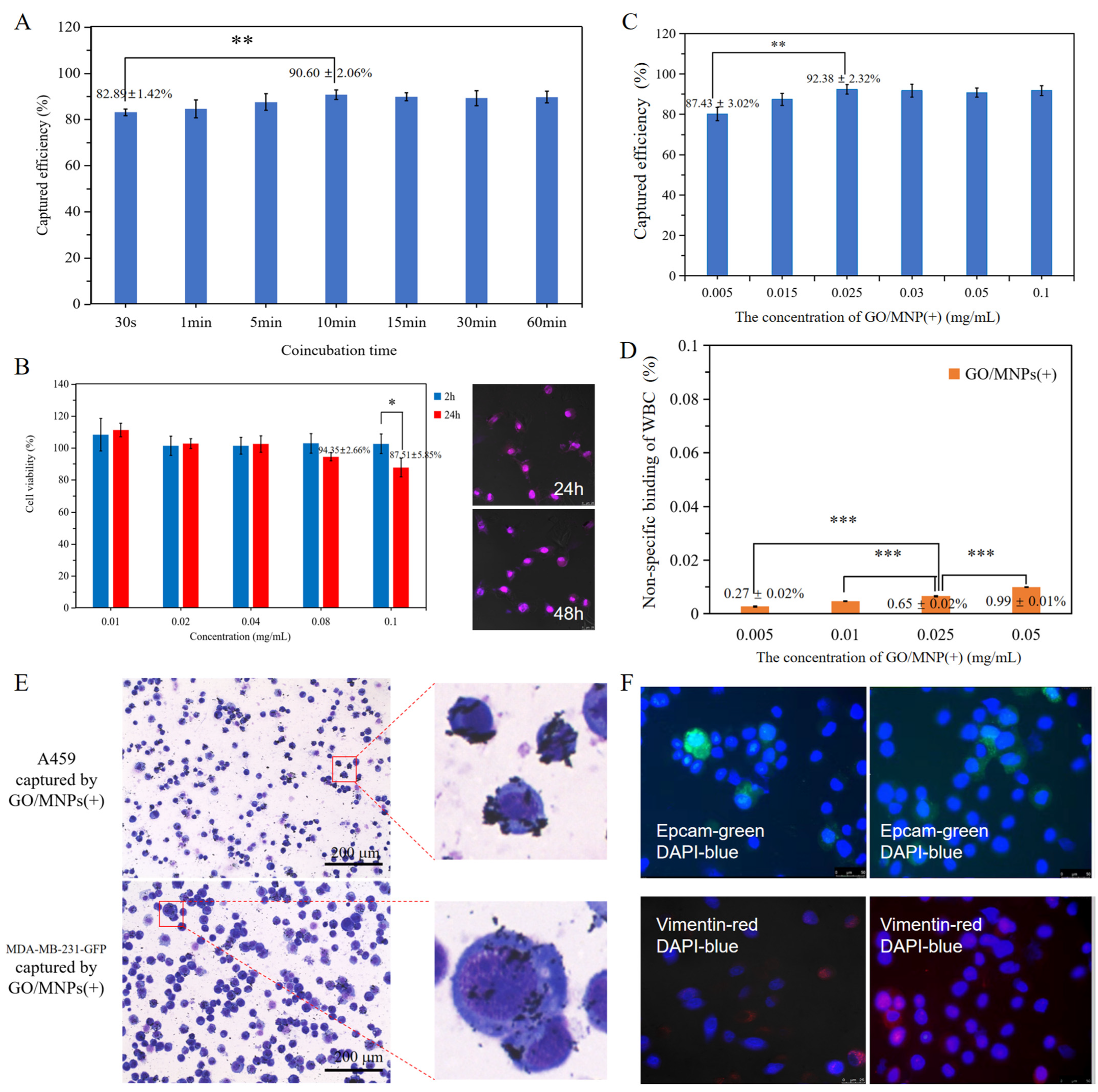Cells 12 00305 g005 Cells 12 00305 g005