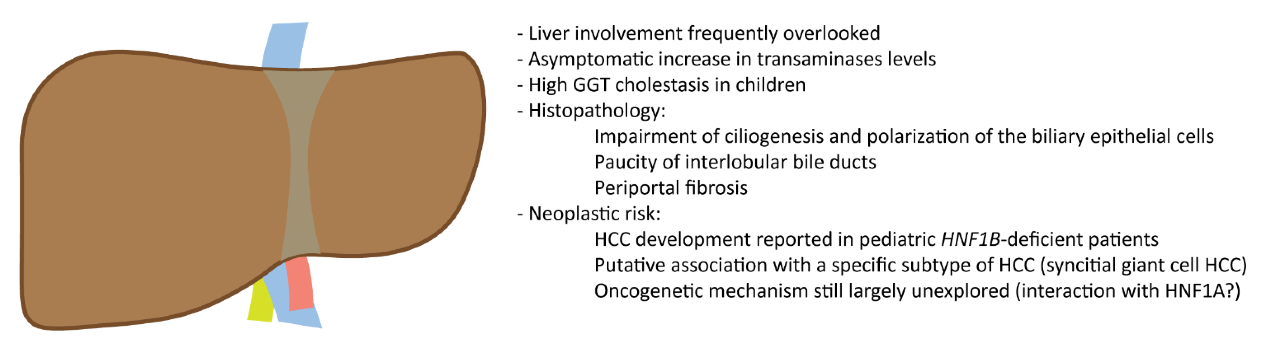 Cells 12 00307 g002 Cells 12 00307 g002