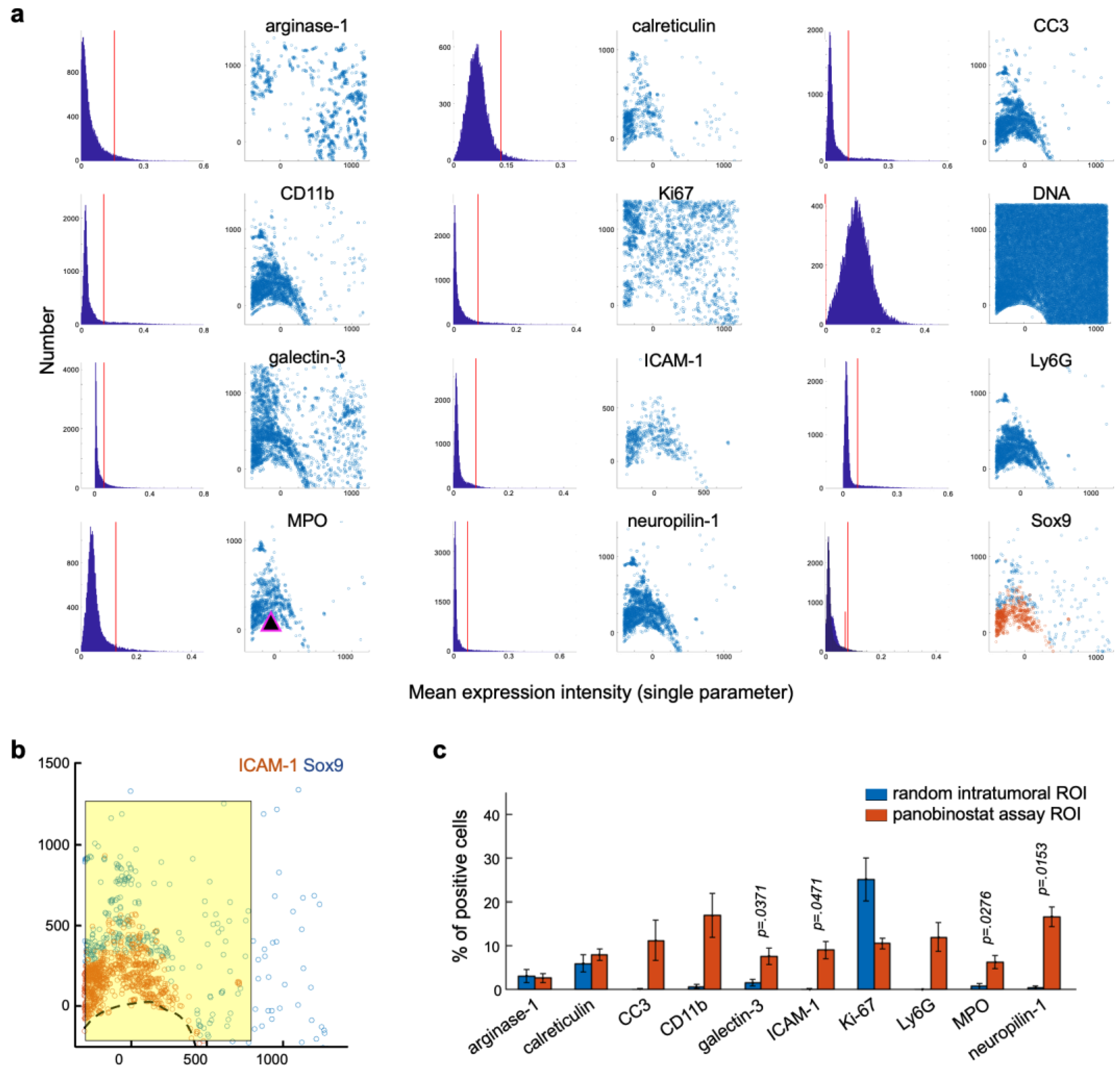 Cells 12 00308 g002 Cells 12 00308 g002
