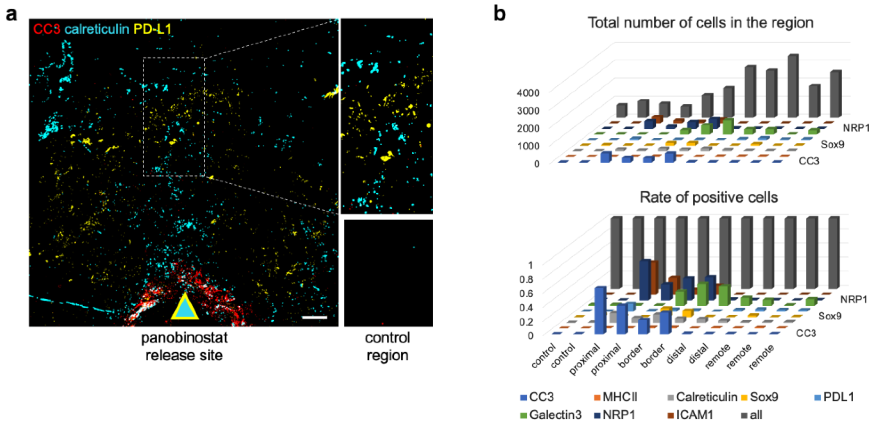 Cells 12 00308 g003 Cells 12 00308 g003