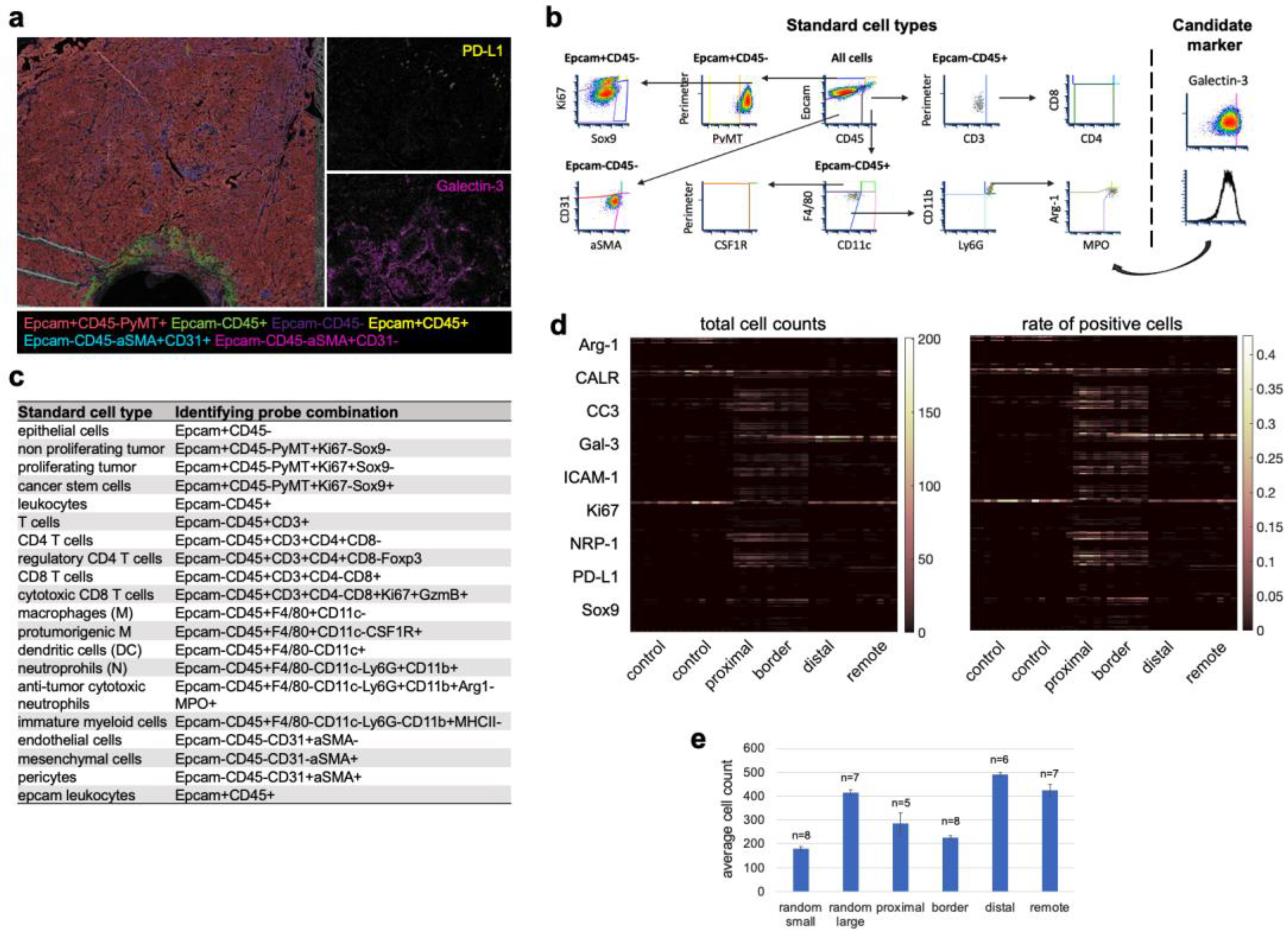 Cells 12 00308 g004 Cells 12 00308 g004