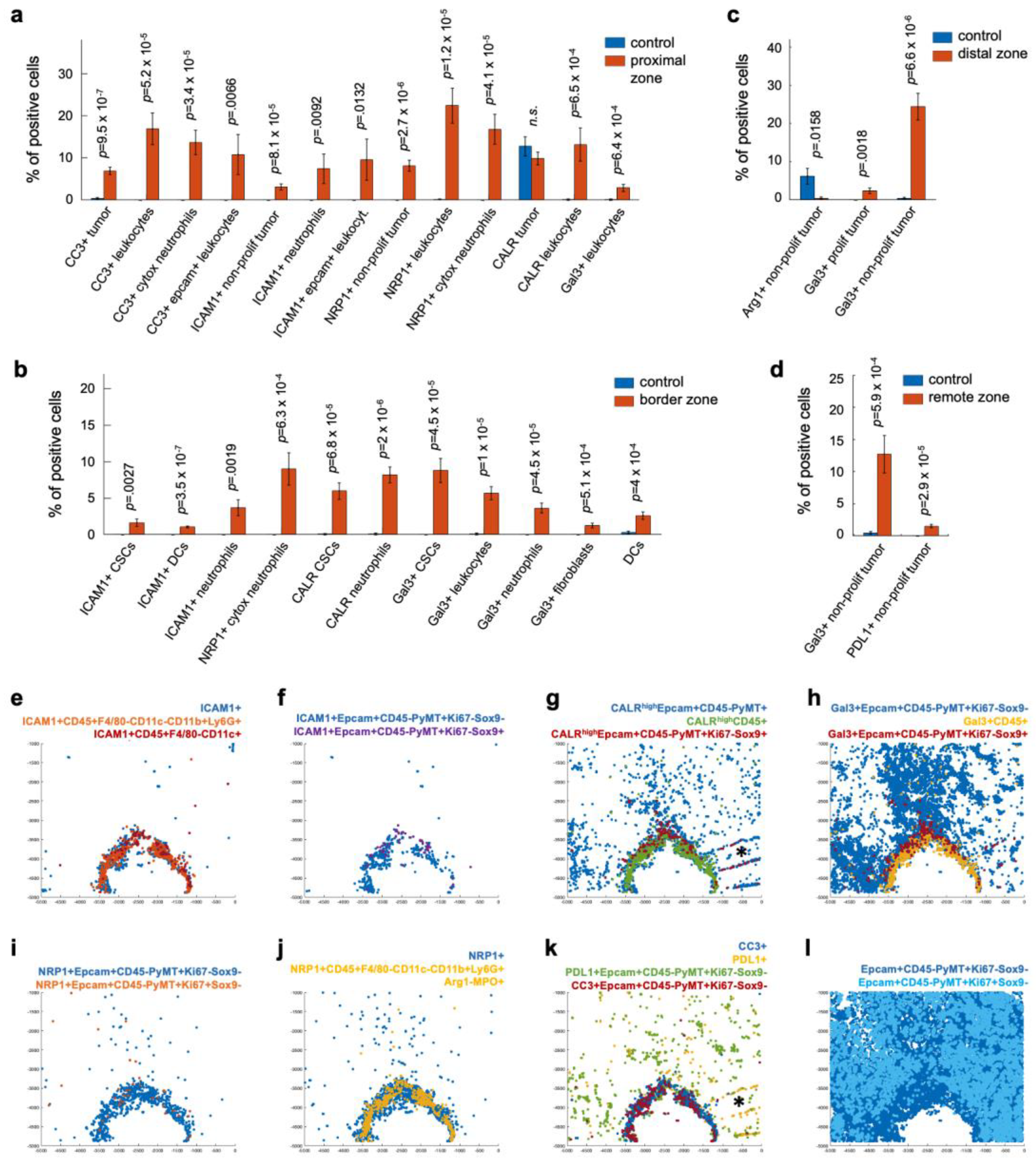 Cells 12 00308 g005 Cells 12 00308 g005