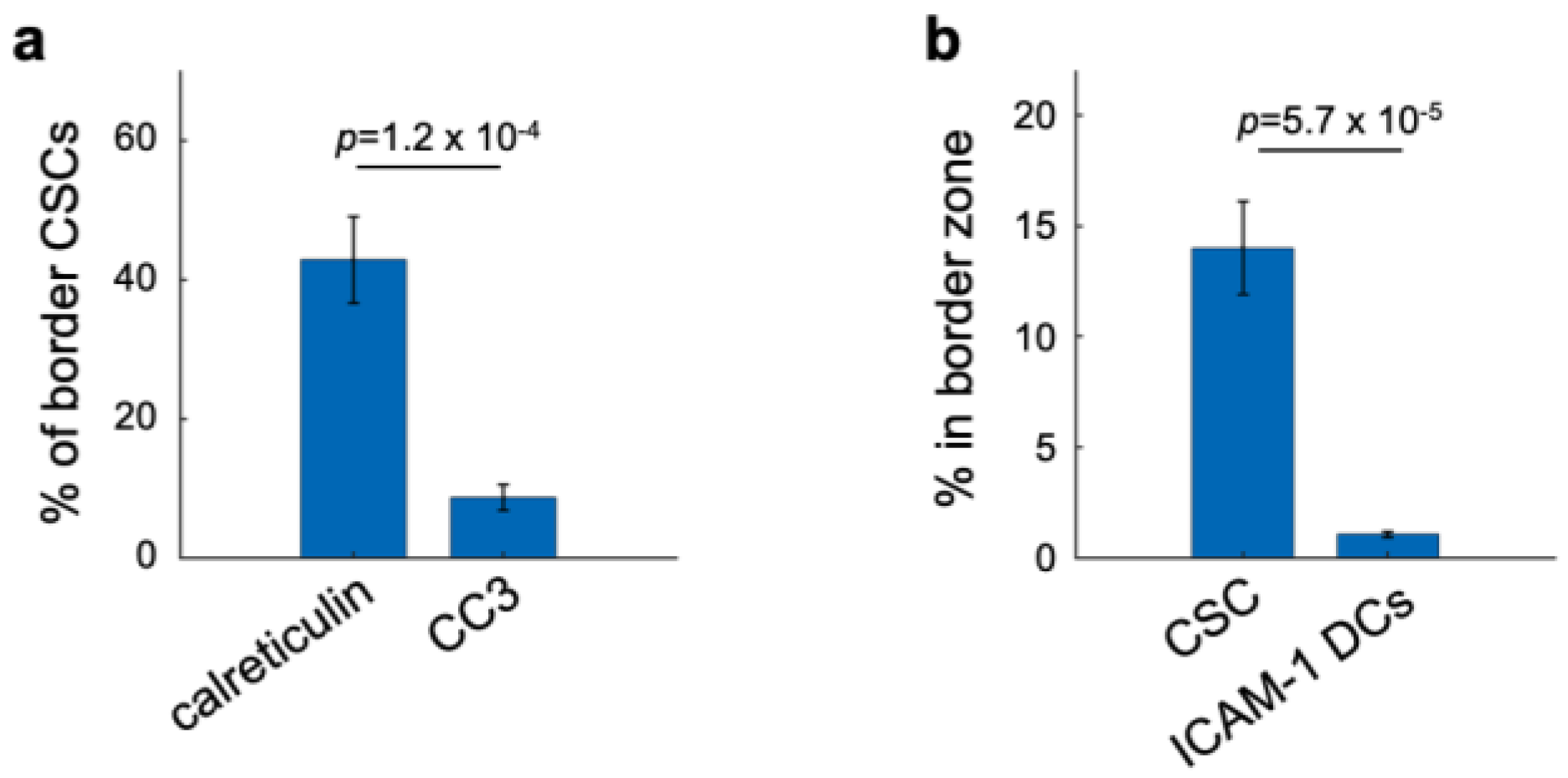 Cells 12 00308 g006 Cells 12 00308 g006
