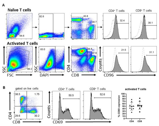 An Inhibitory Role for Human CD96 Endodomain in T Cell Anti-Tumor