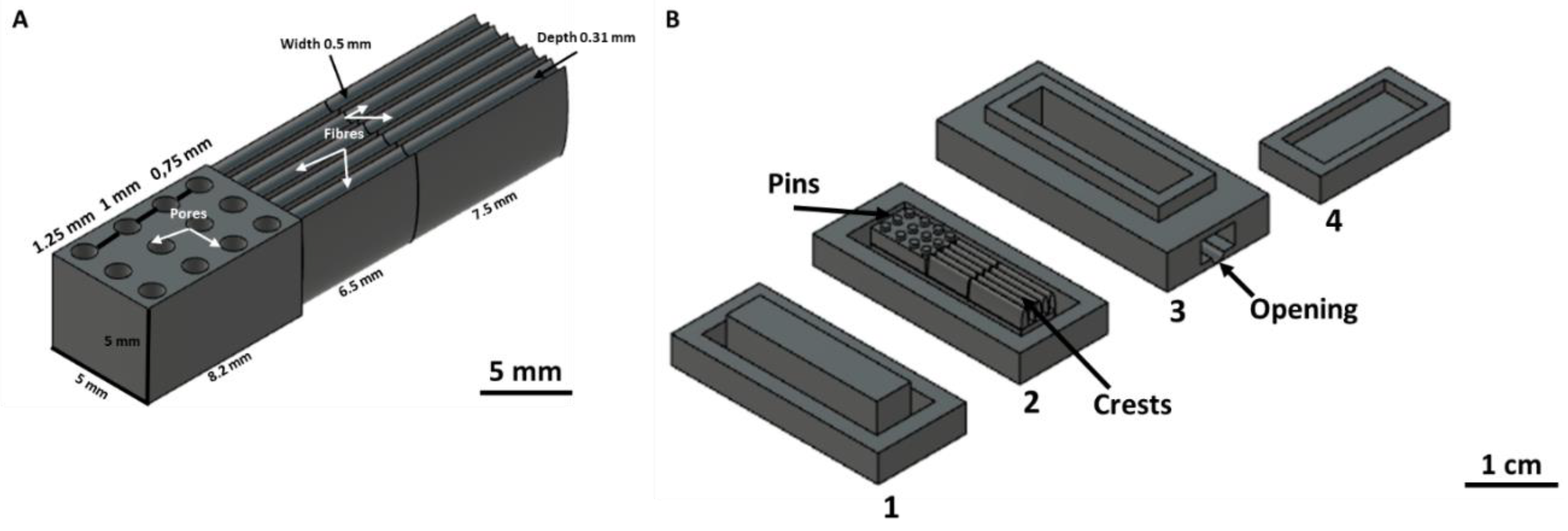 Cells 12 00313 g001 Cells 12 00313 g001