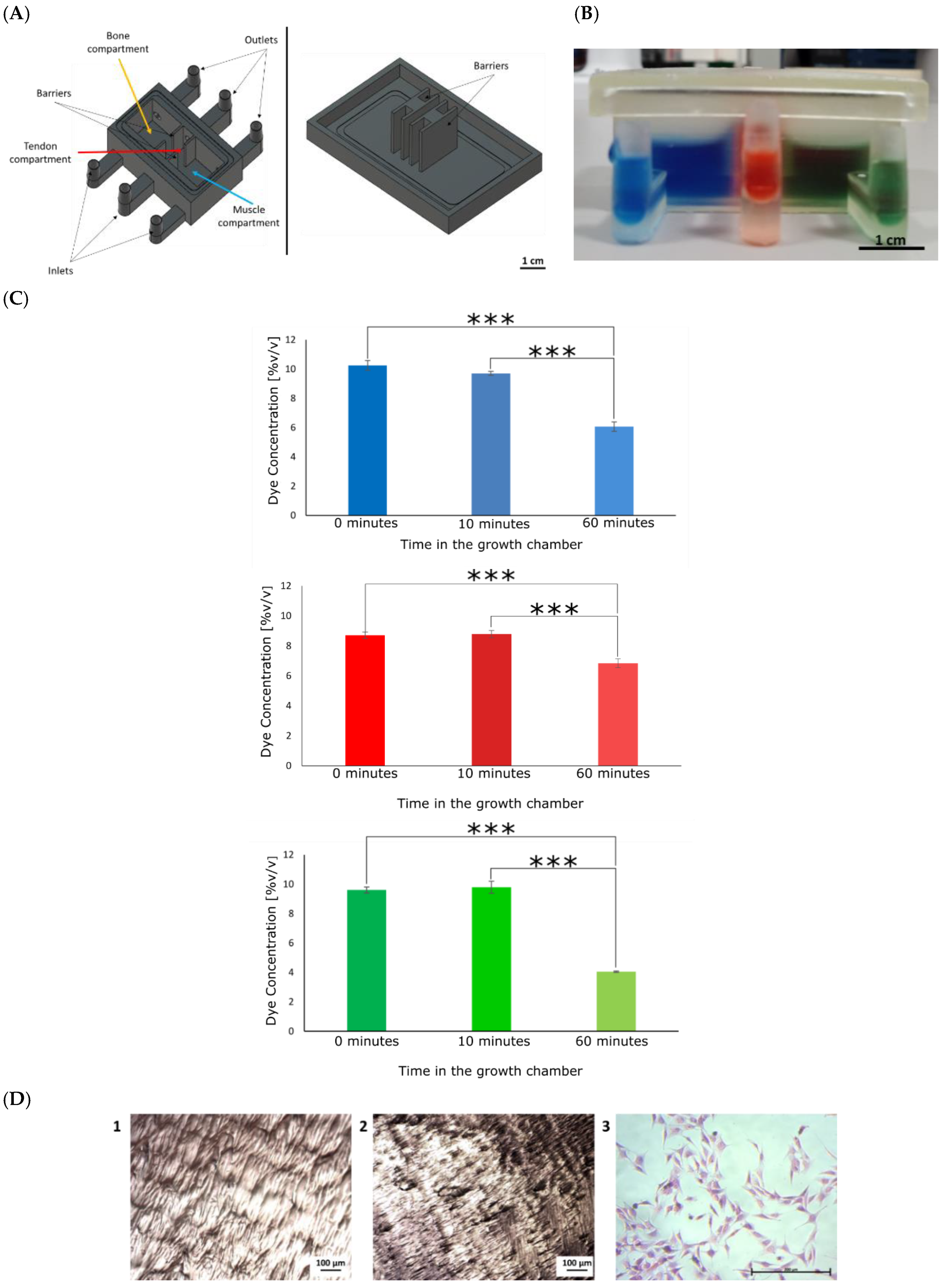 Cells 12 00313 g003 Cells 12 00313 g003