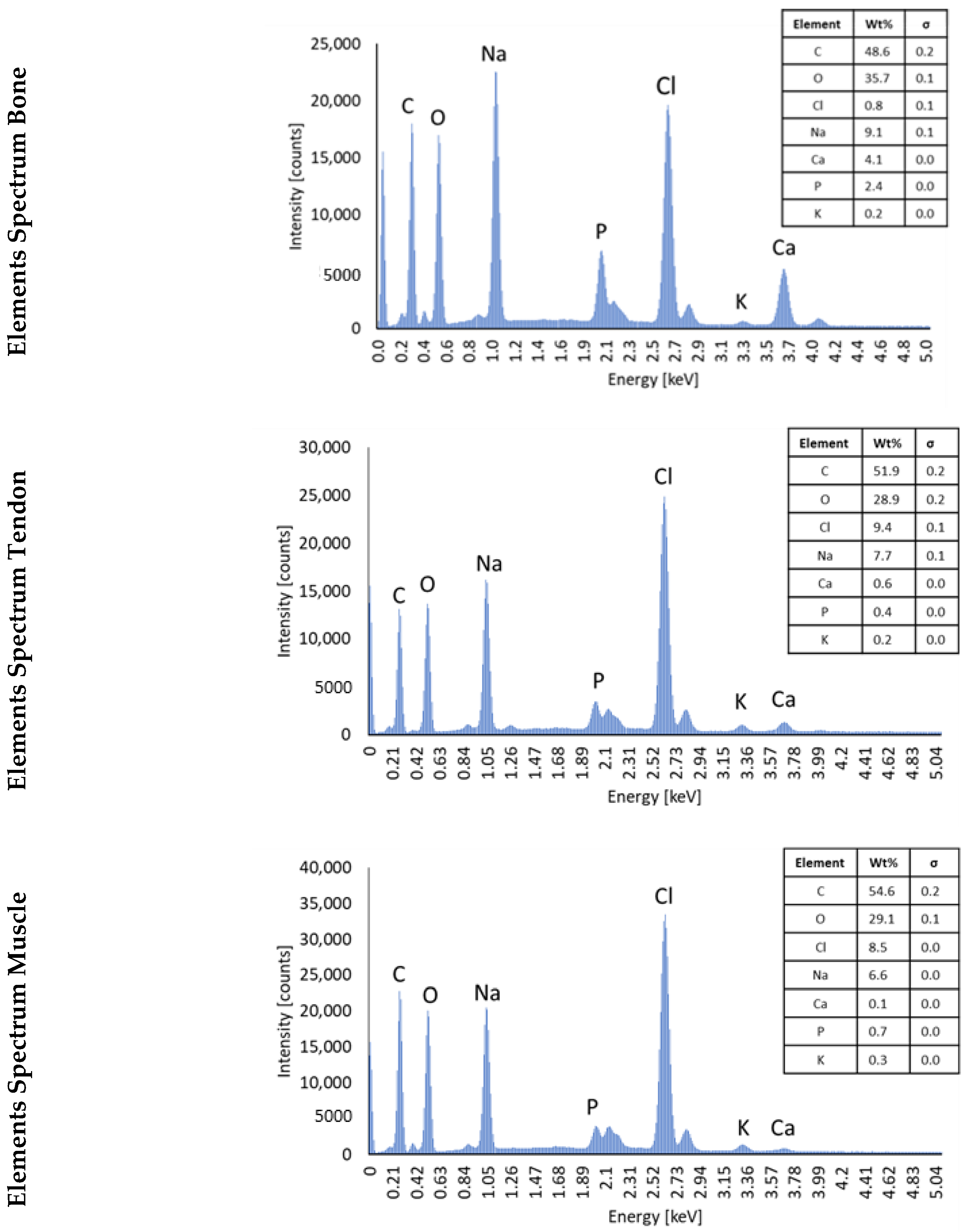 Cells 12 00313 g005 Cells 12 00313 g005