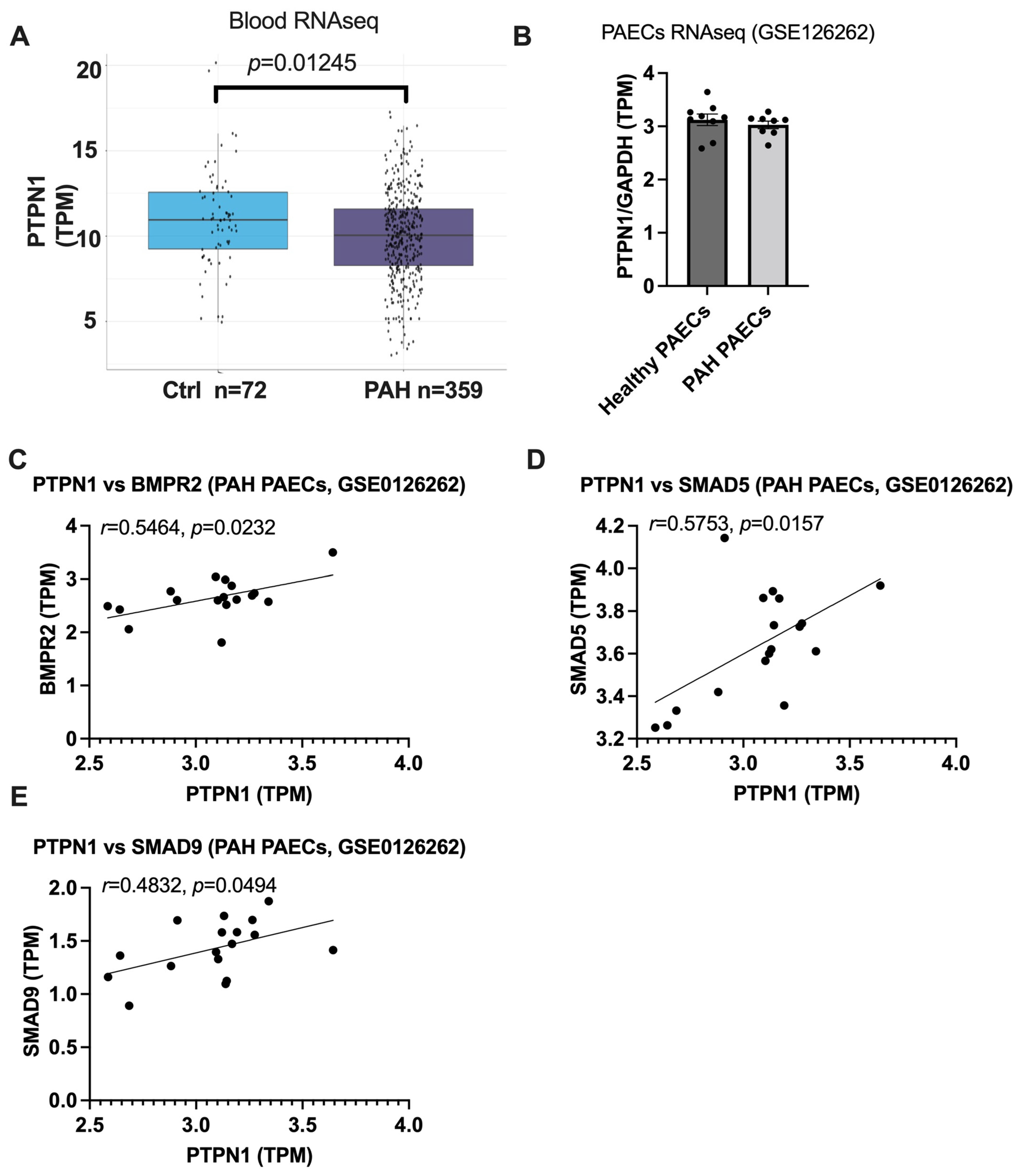 Cells 12 00316 g004 Cells 12 00316 g004