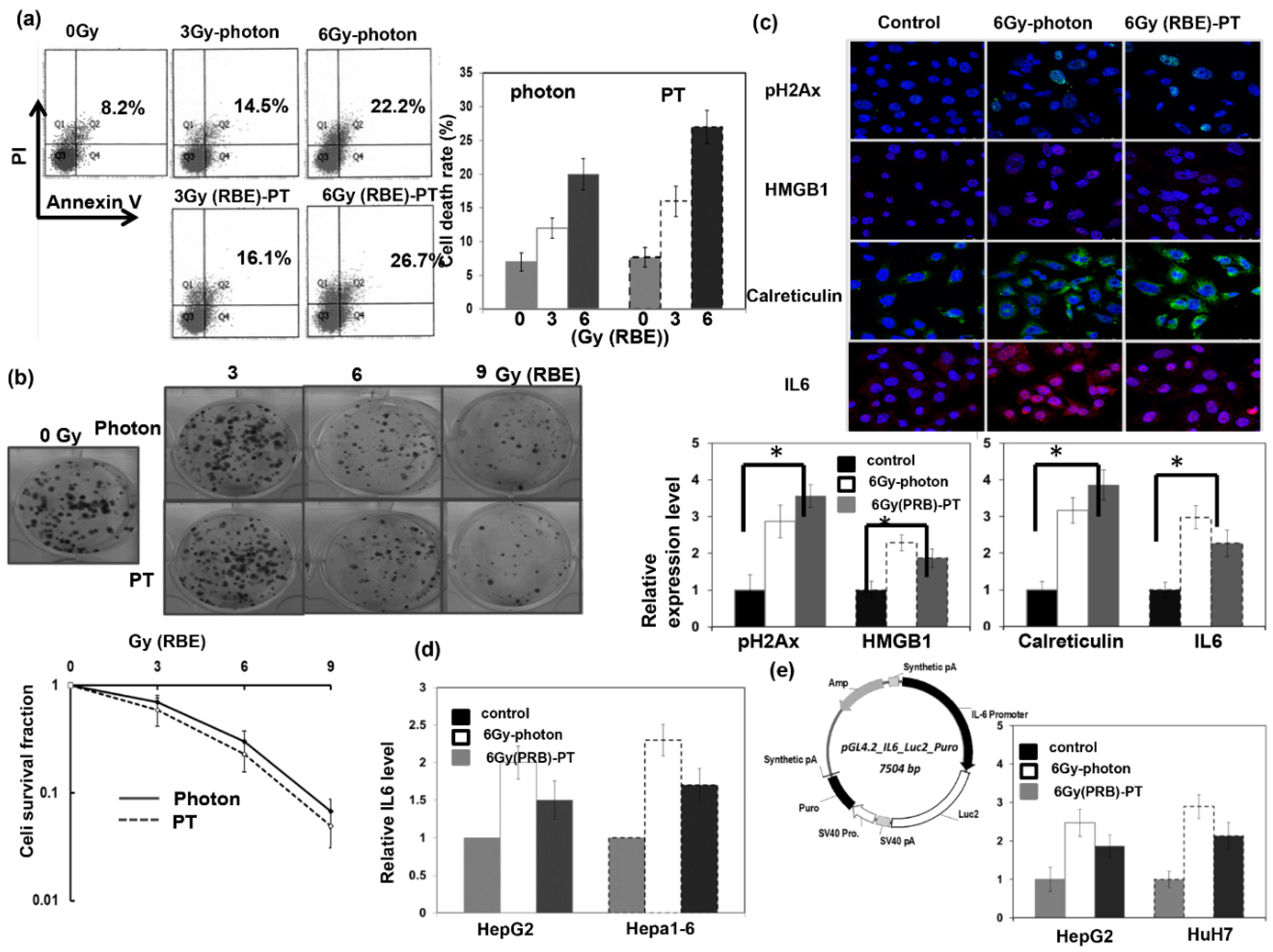 Cells 12 00332 g002 Cells 12 00332 g002