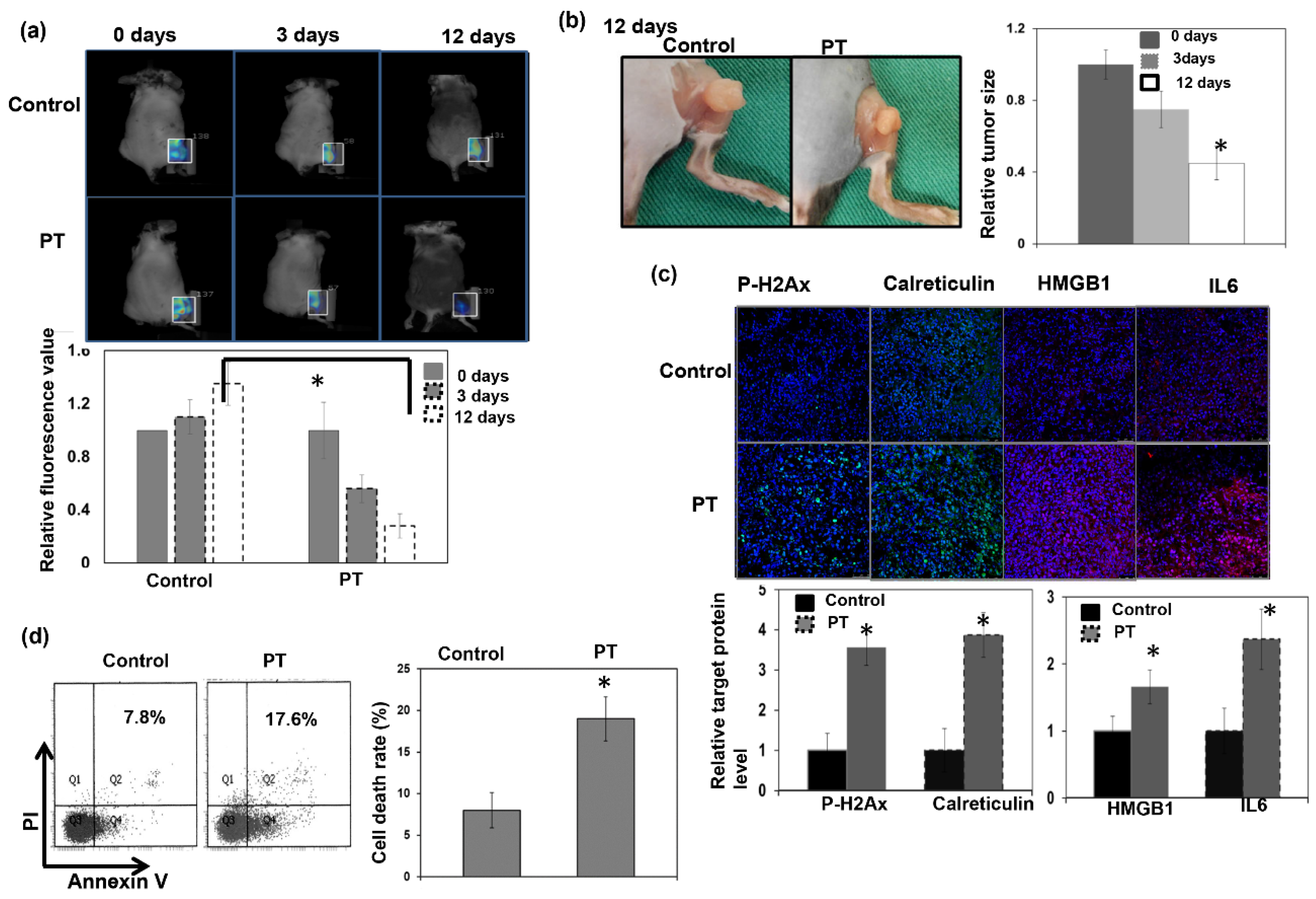 Cells 12 00332 g003 Cells 12 00332 g003