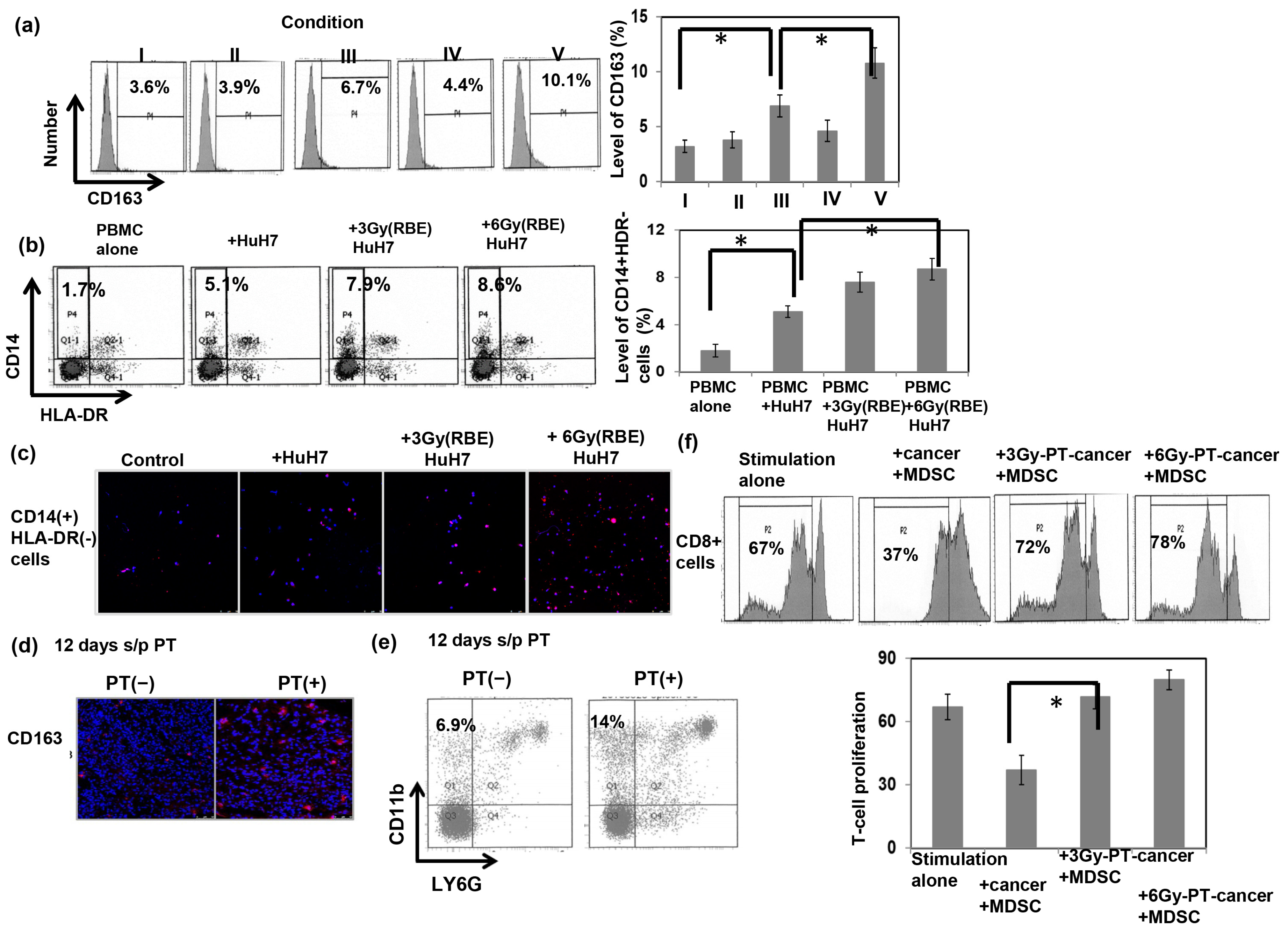 Cells 12 00332 g004 Cells 12 00332 g004