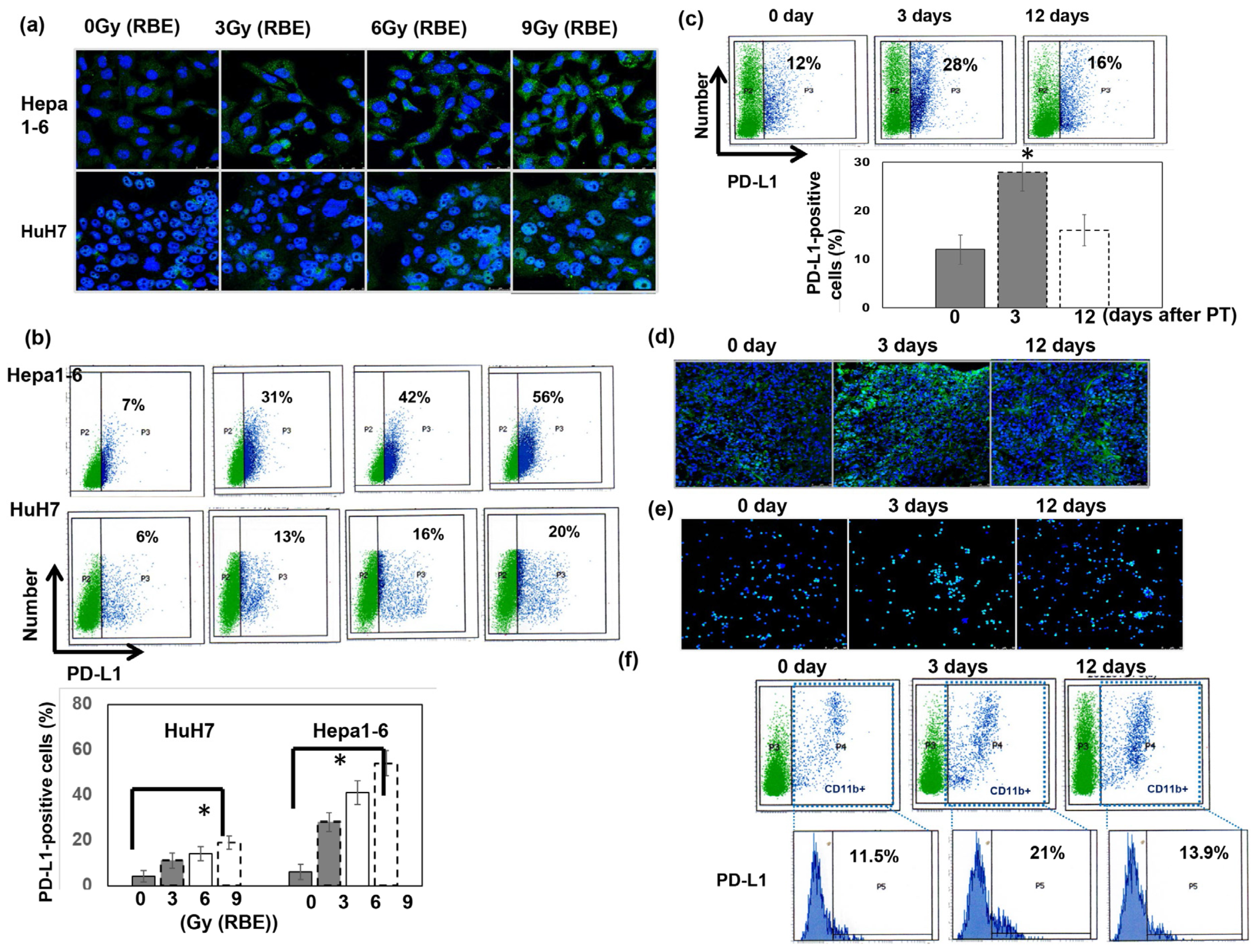 Cells 12 00332 g005 Cells 12 00332 g005