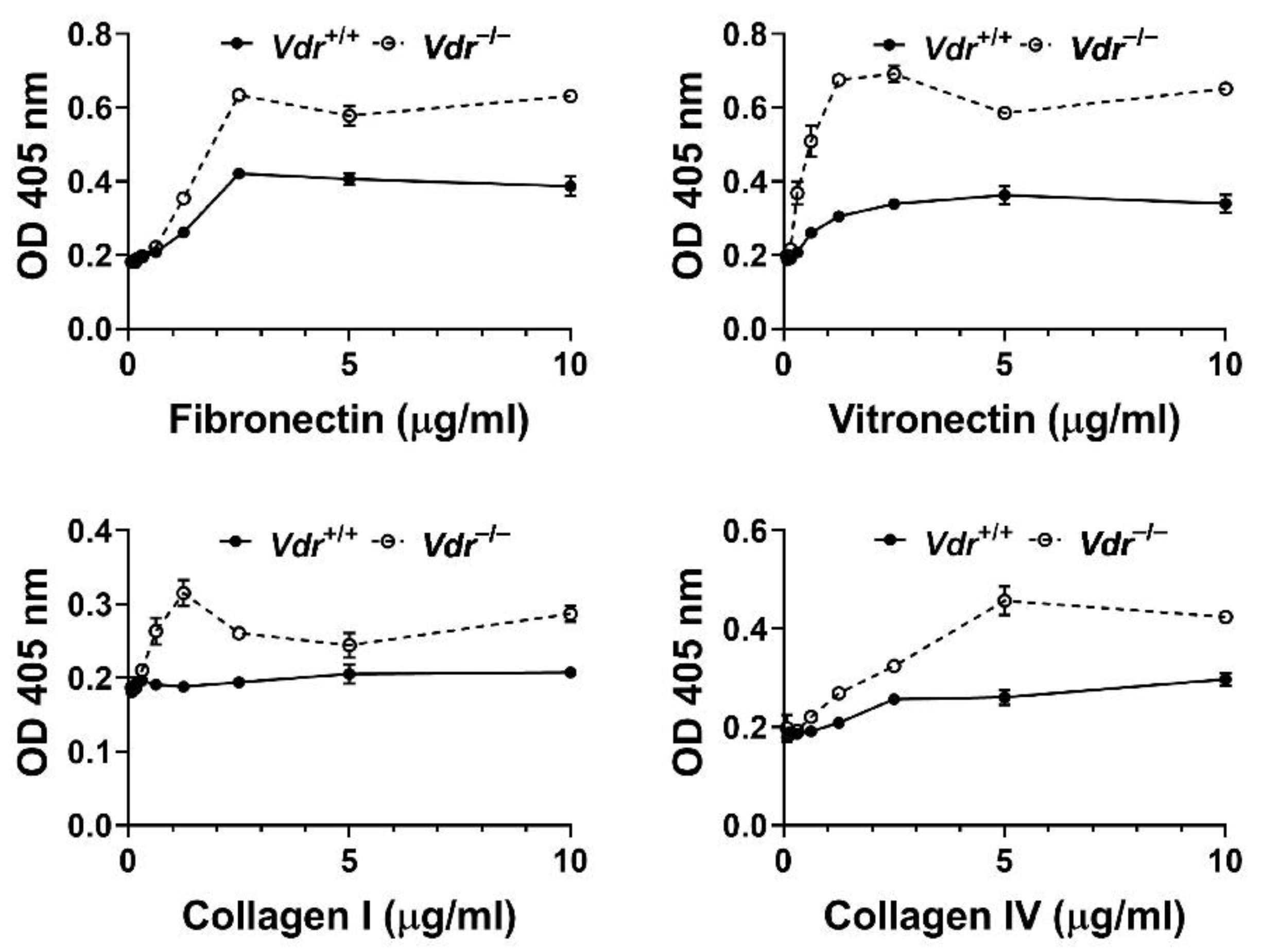 Cells 12 00335 g004 Cells 12 00335 g004