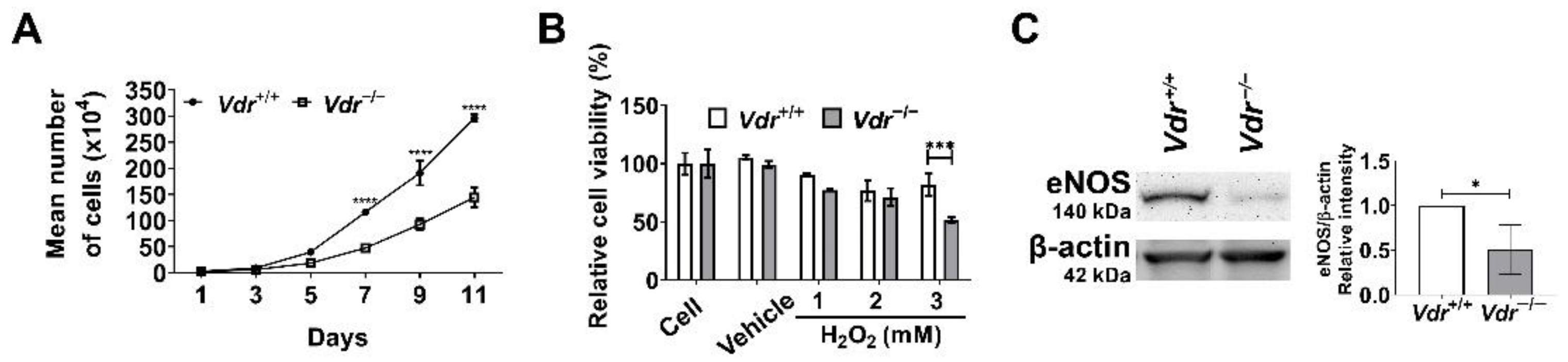 Cells 12 00335 g008 Cells 12 00335 g008