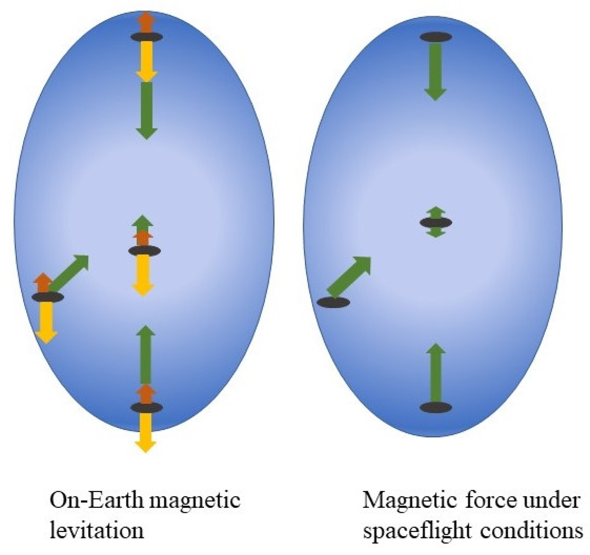 audition Port dug Cells | Free Full-Text | Experimentally Created Magnetic Force in  Microbiological Space and On-Earth Studies: Perspectives and Restrictions