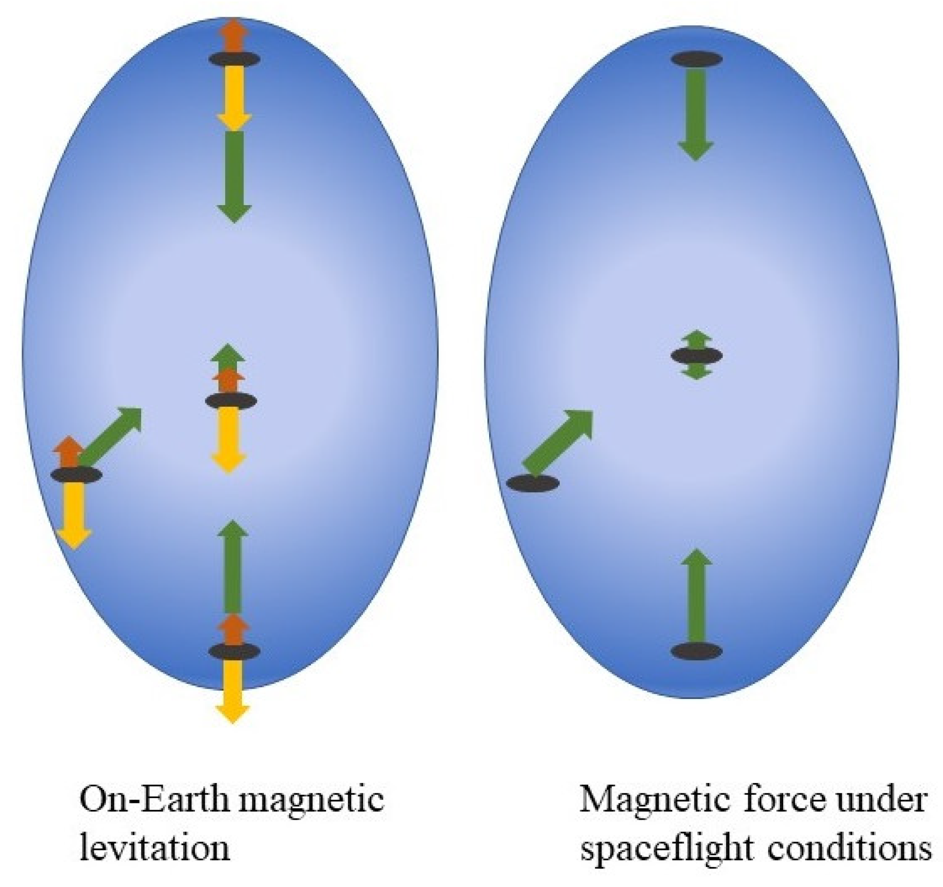 Cells | Free Full-Text | Experimentally Force in Microbiological Space and Studies: Perspectives and Restrictions