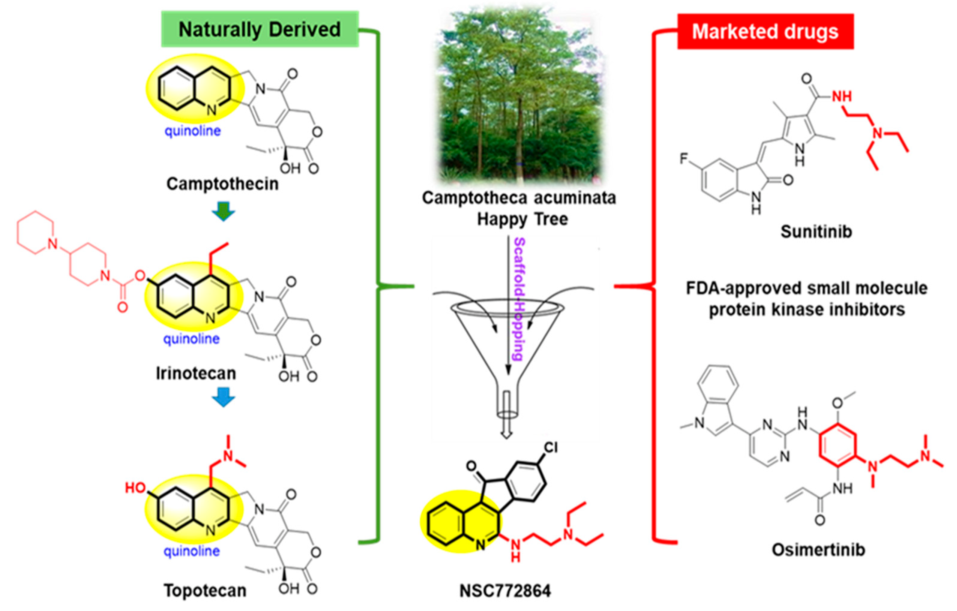 Cells 12 00340 g007 Cells 12 00340 g007