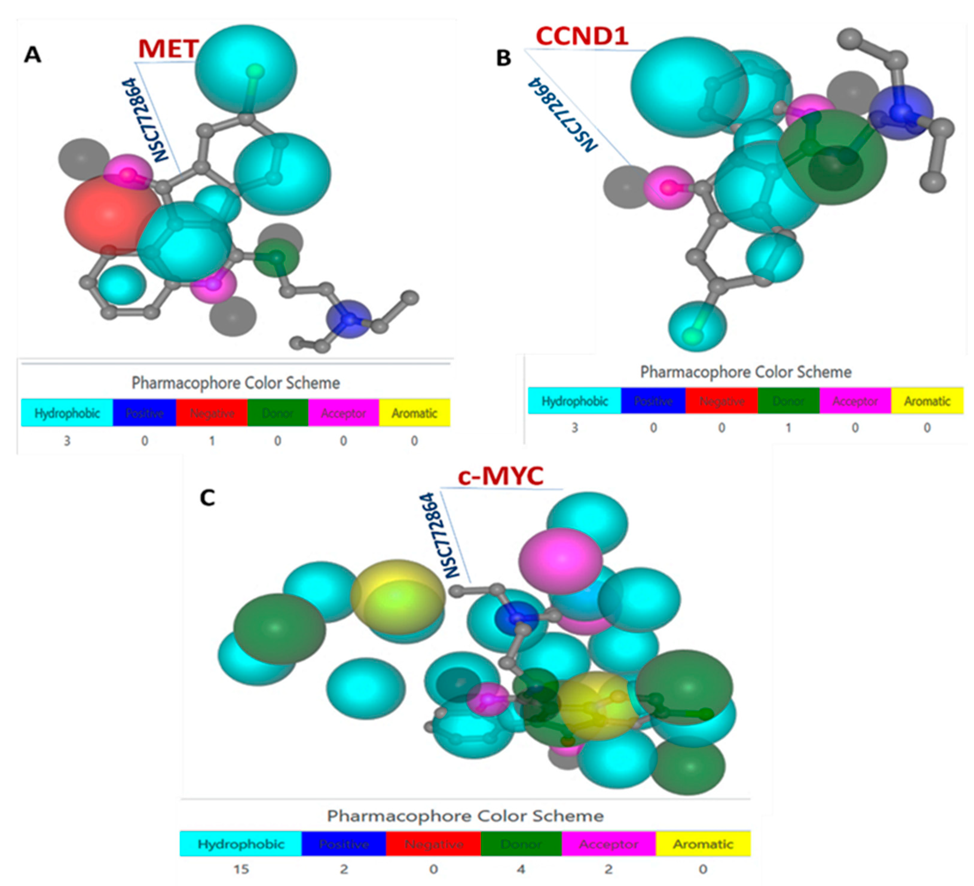 Cells 12 00340 g008 Cells 12 00340 g008