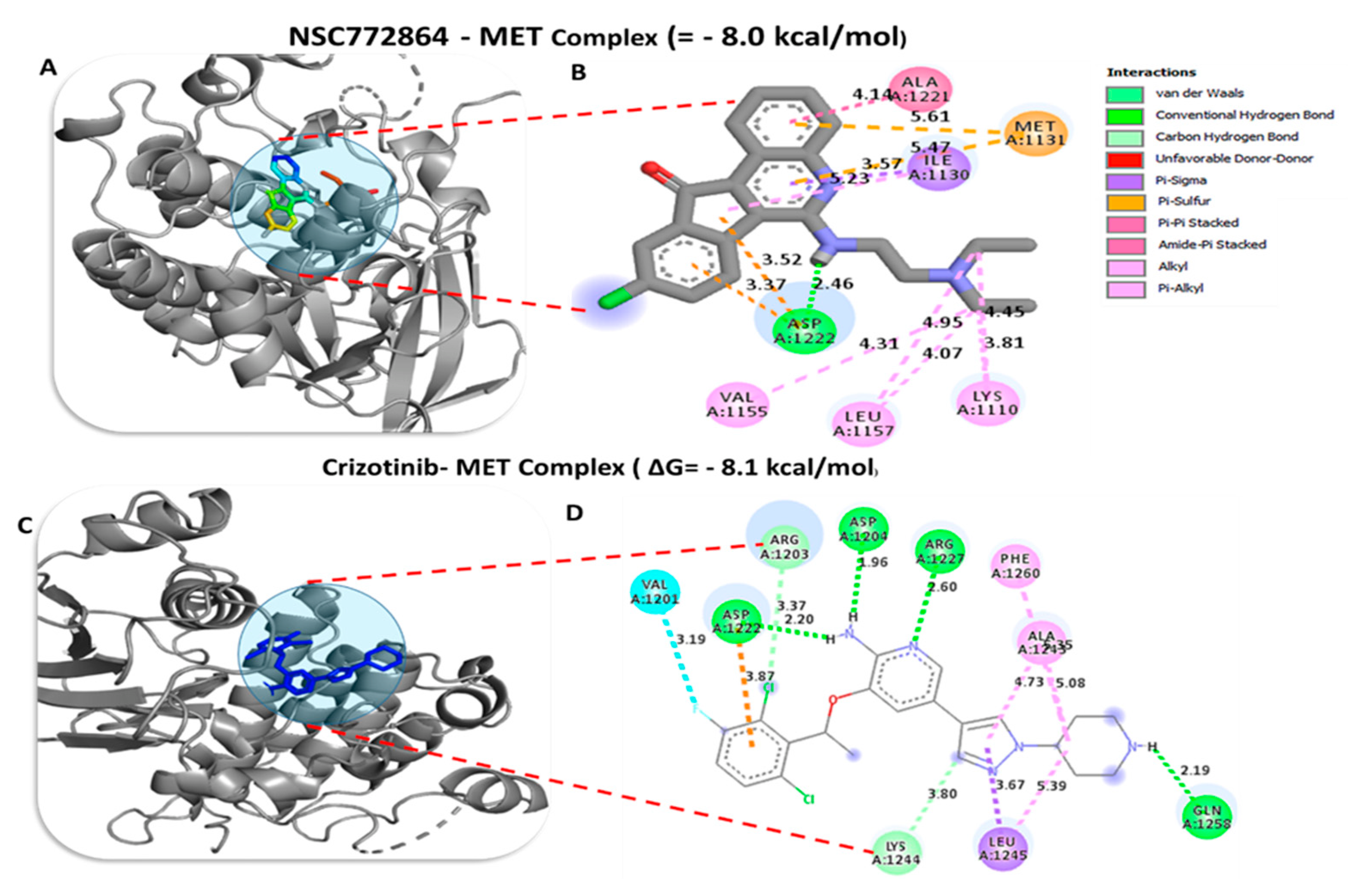 Cells 12 00340 g012 Cells 12 00340 g012