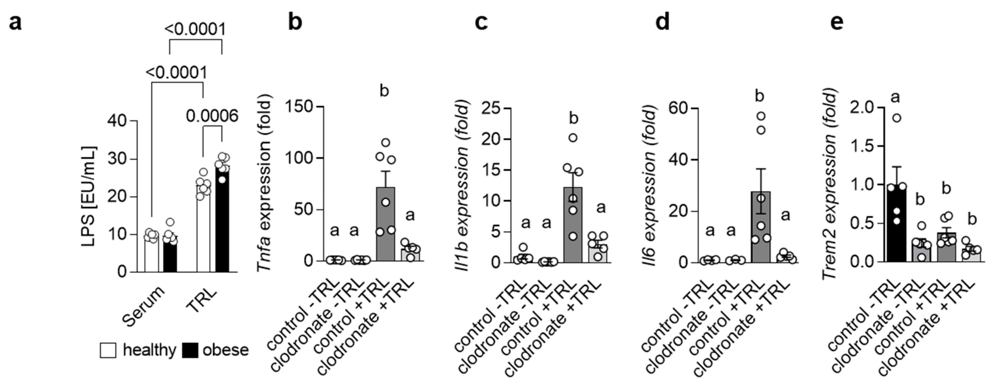 Cells 12 00341 g001 Cells 12 00341 g001