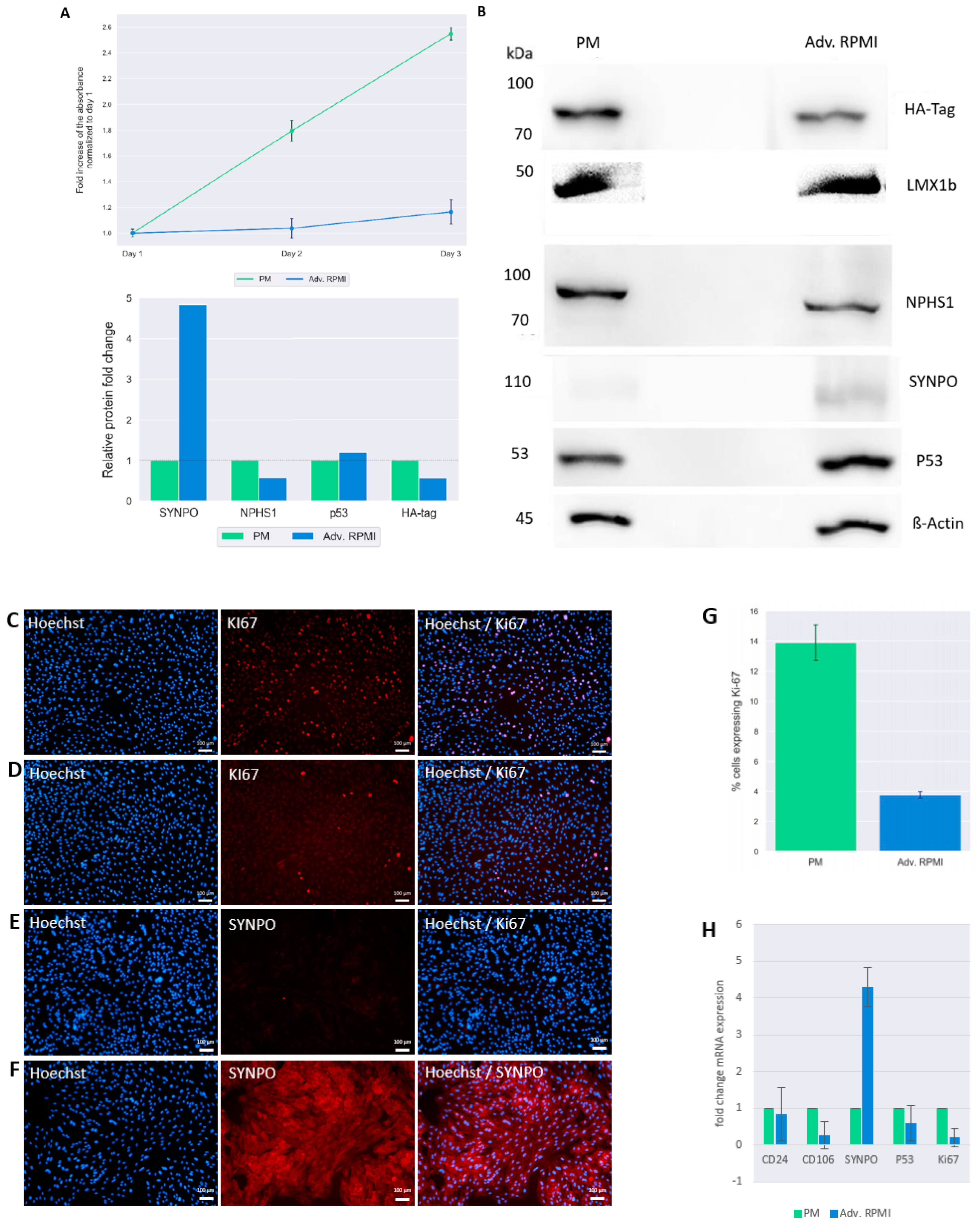 Cells 12 00342 g003 Cells 12 00342 g003
