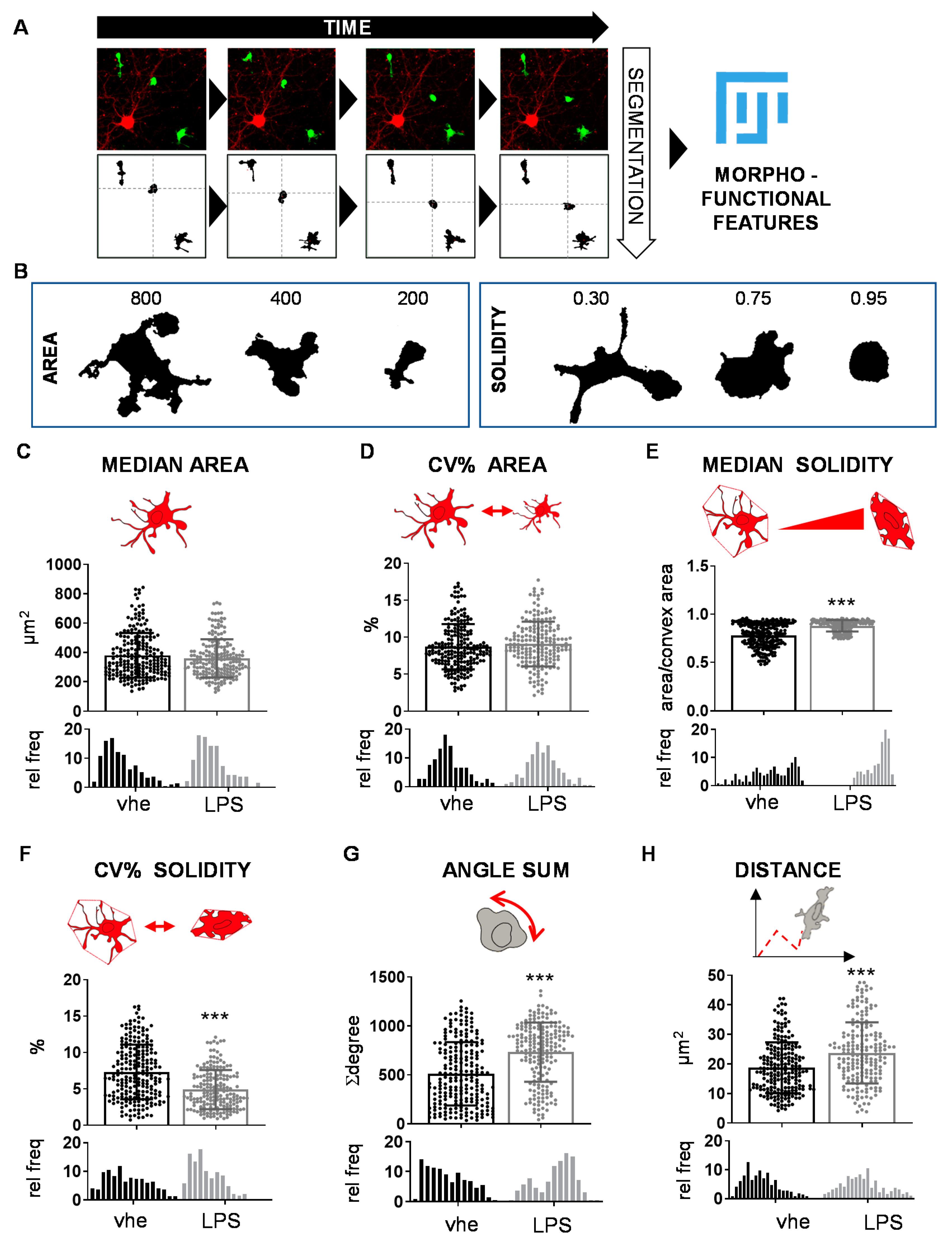 Cells 12 00343 g001 Cells 12 00343 g001