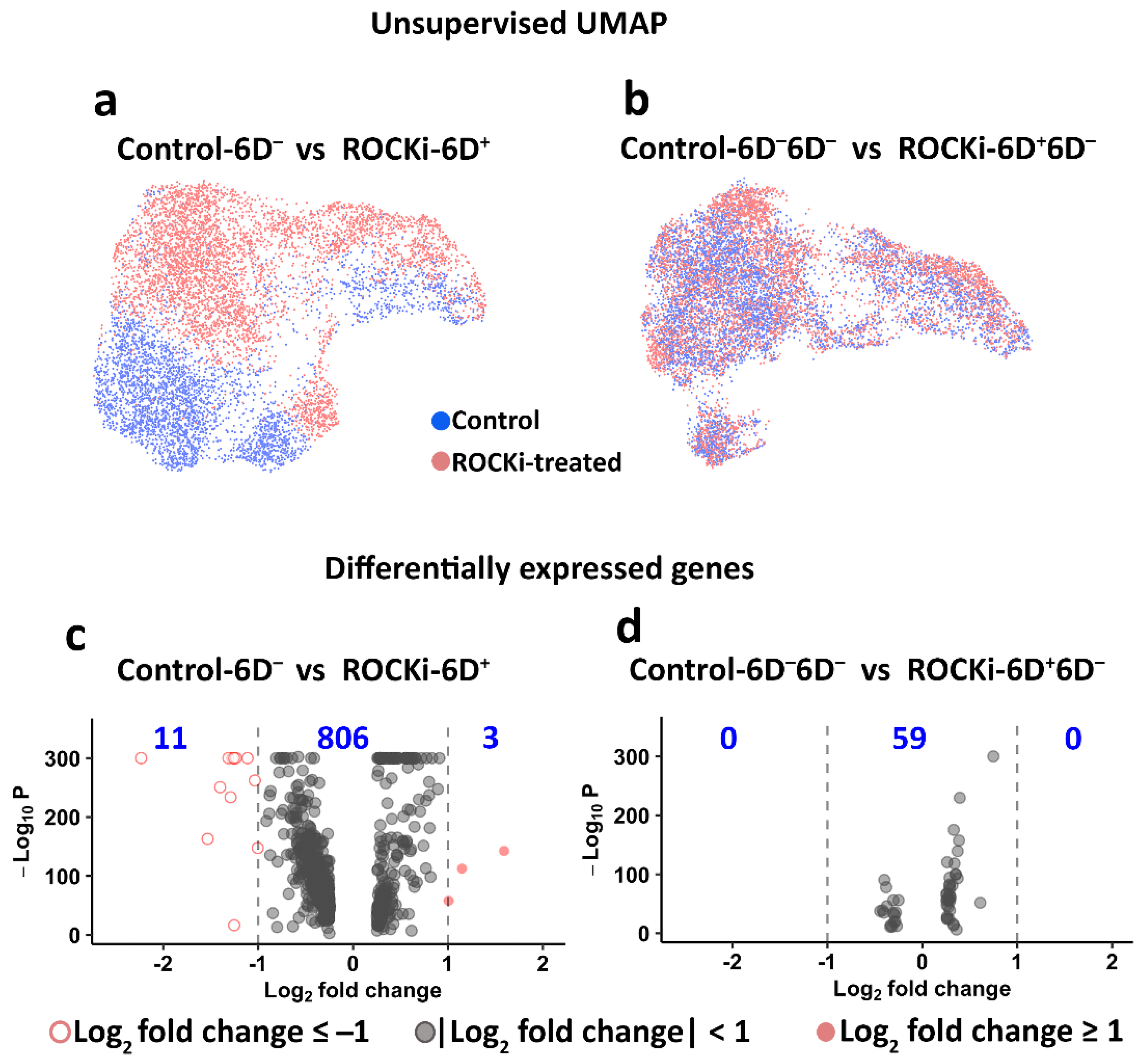 Cells 12 00346 g005 Cells 12 00346 g005