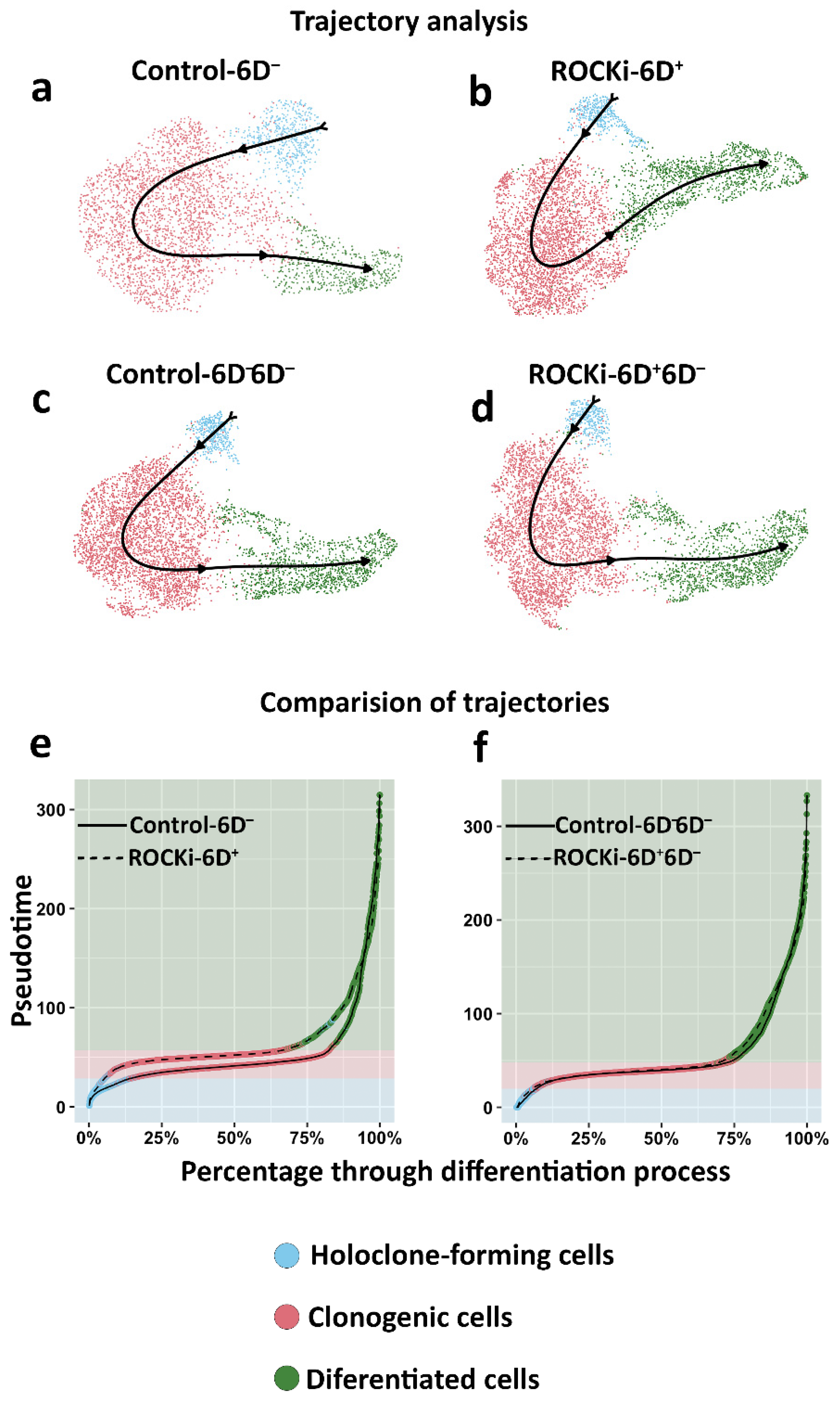 Cells 12 00346 g007 Cells 12 00346 g007