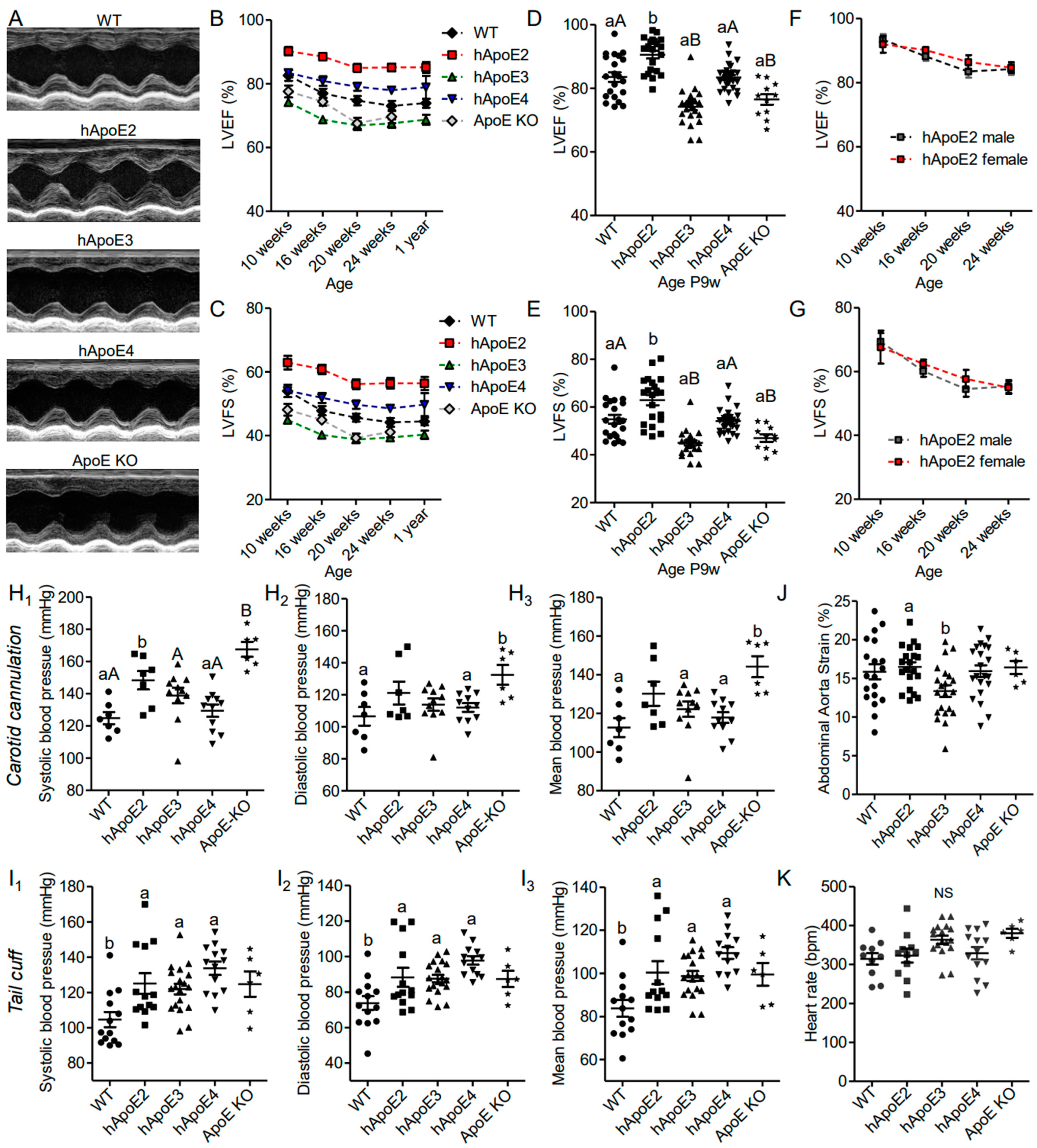 Cells 12 00347 g001 Cells 12 00347 g001