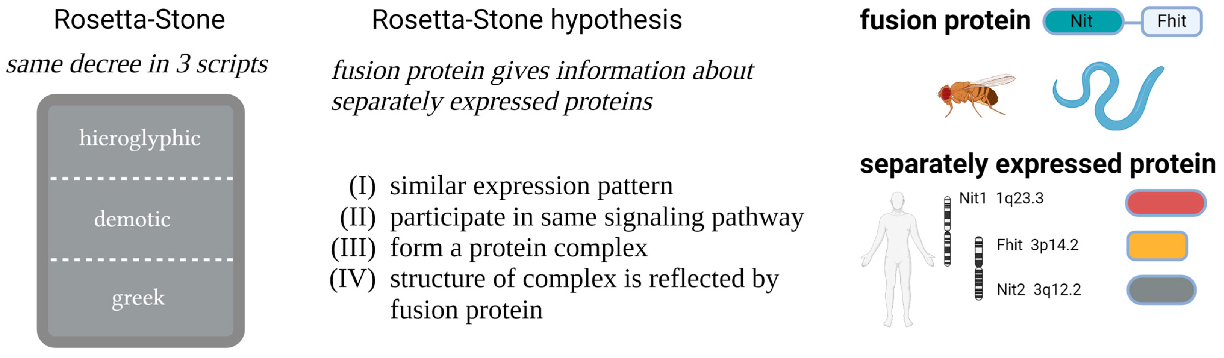 Cells 12 00353 g001 Cells 12 00353 g001