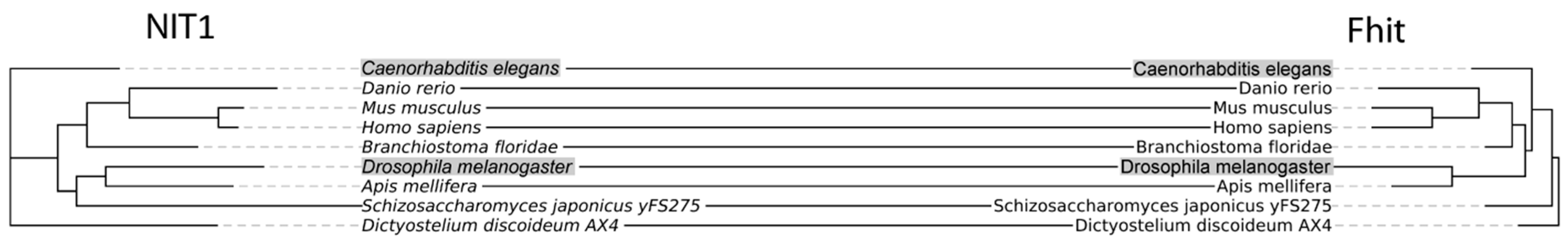 Cells 12 00353 g002 Cells 12 00353 g002